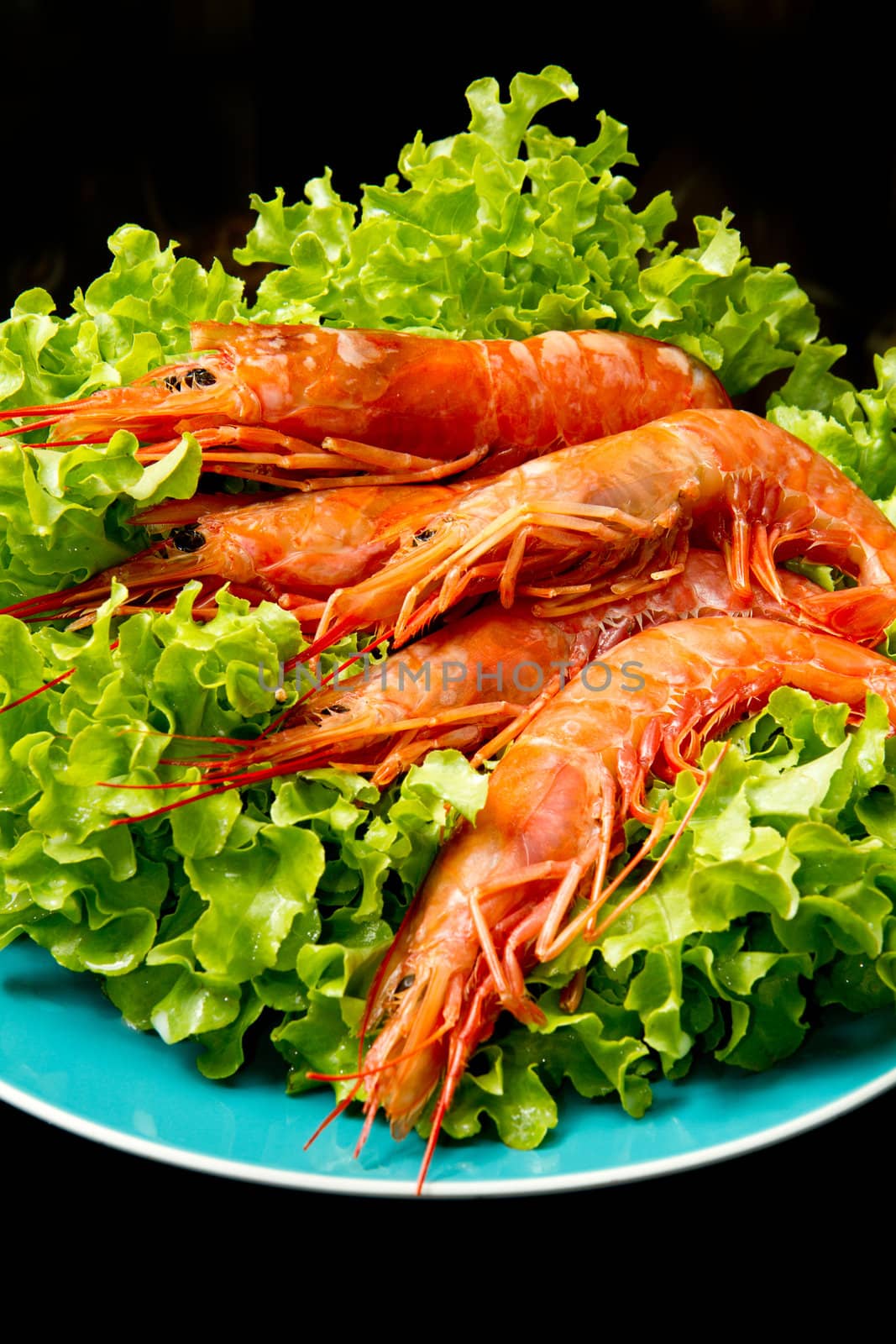 prawns with fresh salad on dish by lsantilli