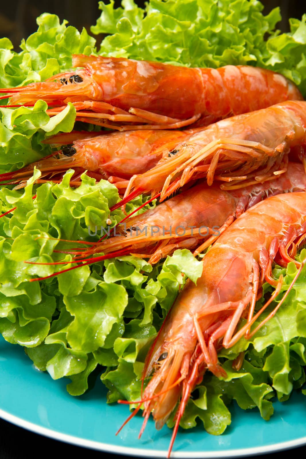 prawns with fresh salad on dish