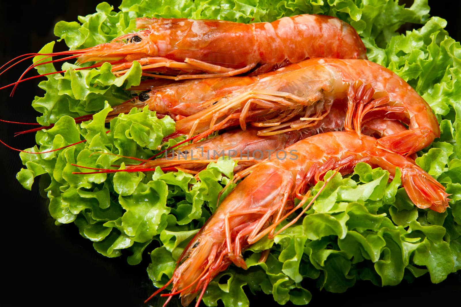 prawns with fresh salad 