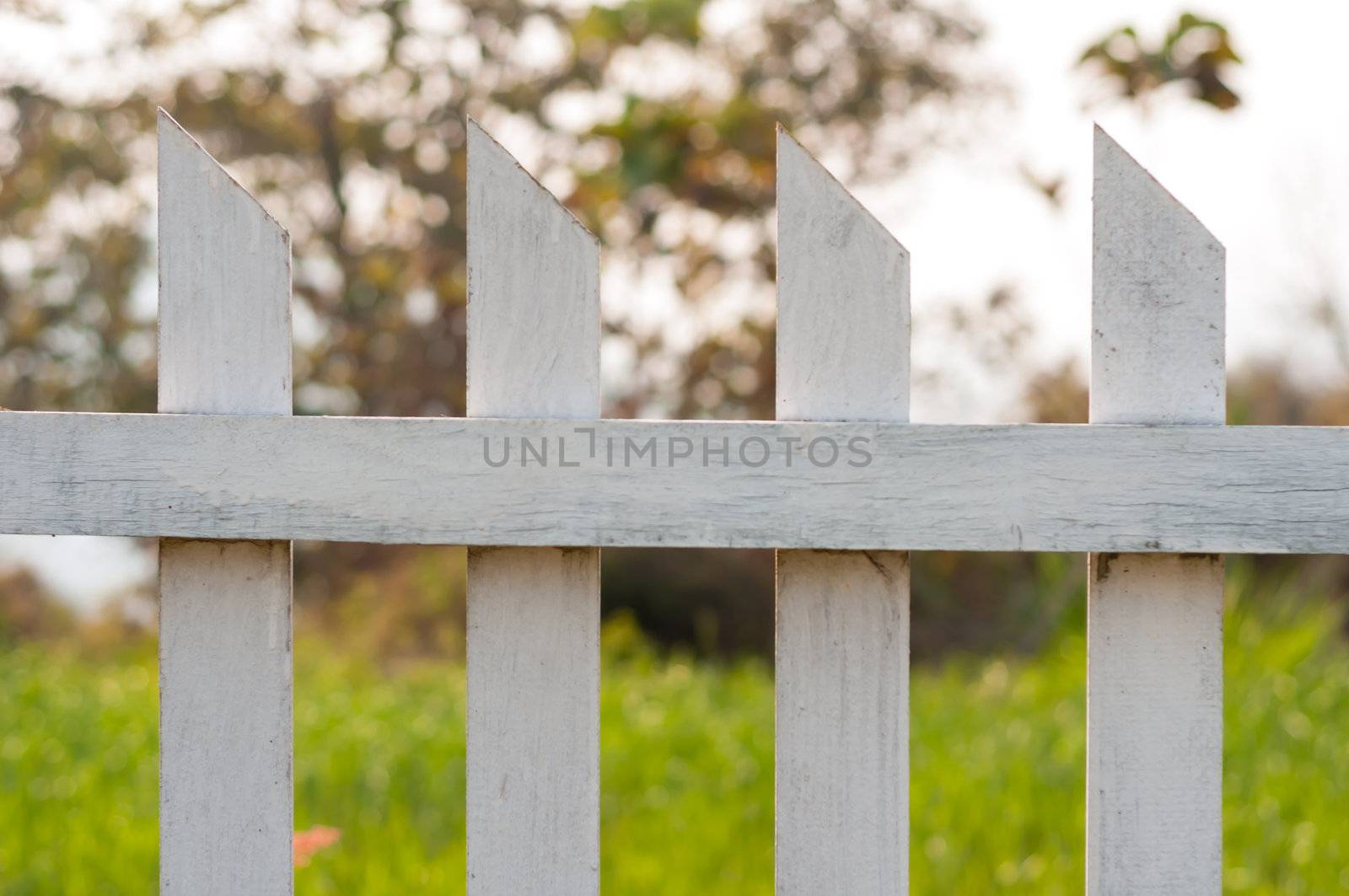 Close up old white fence in garden