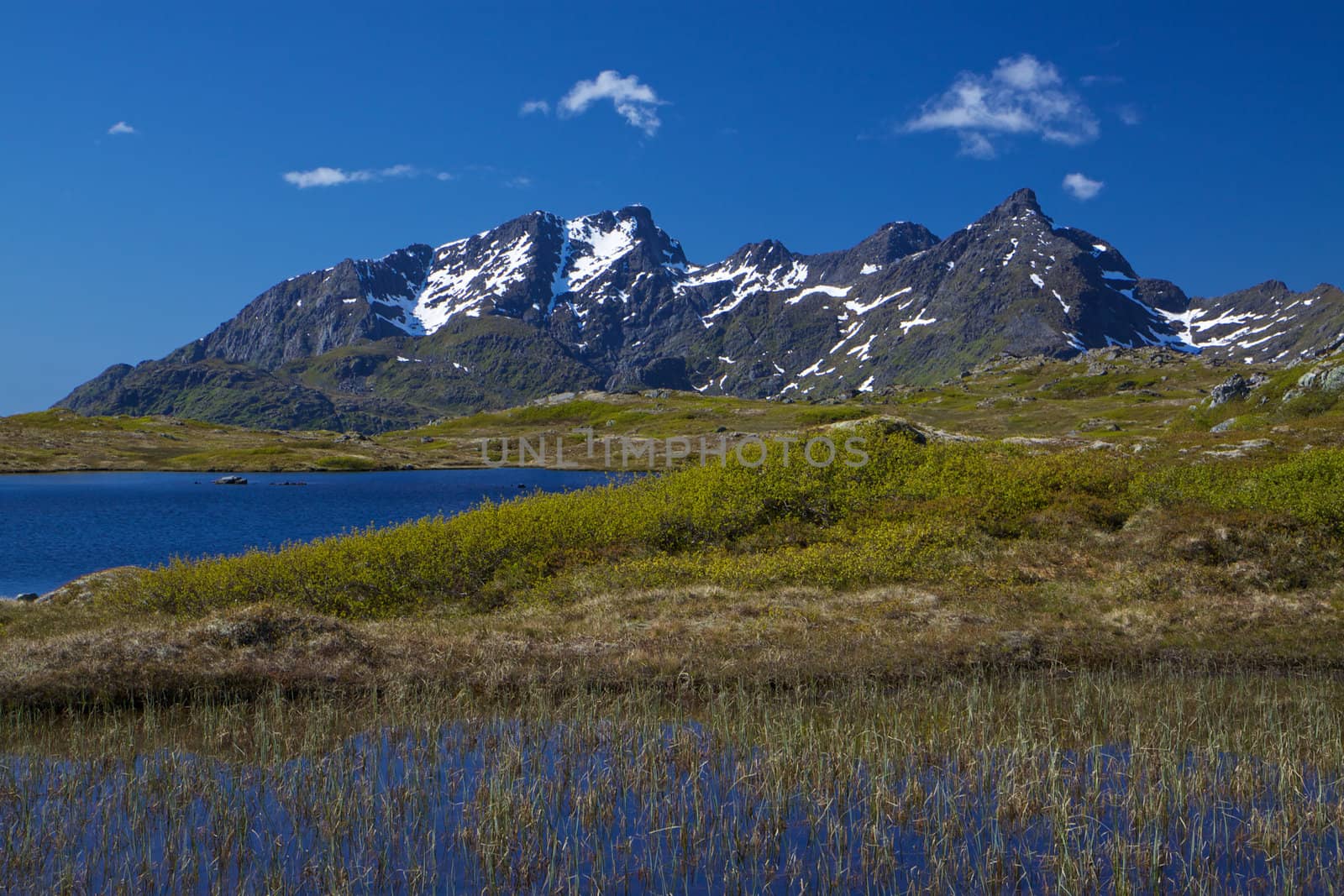 Picturesque mountain peaks on Lofoten islands in Norway