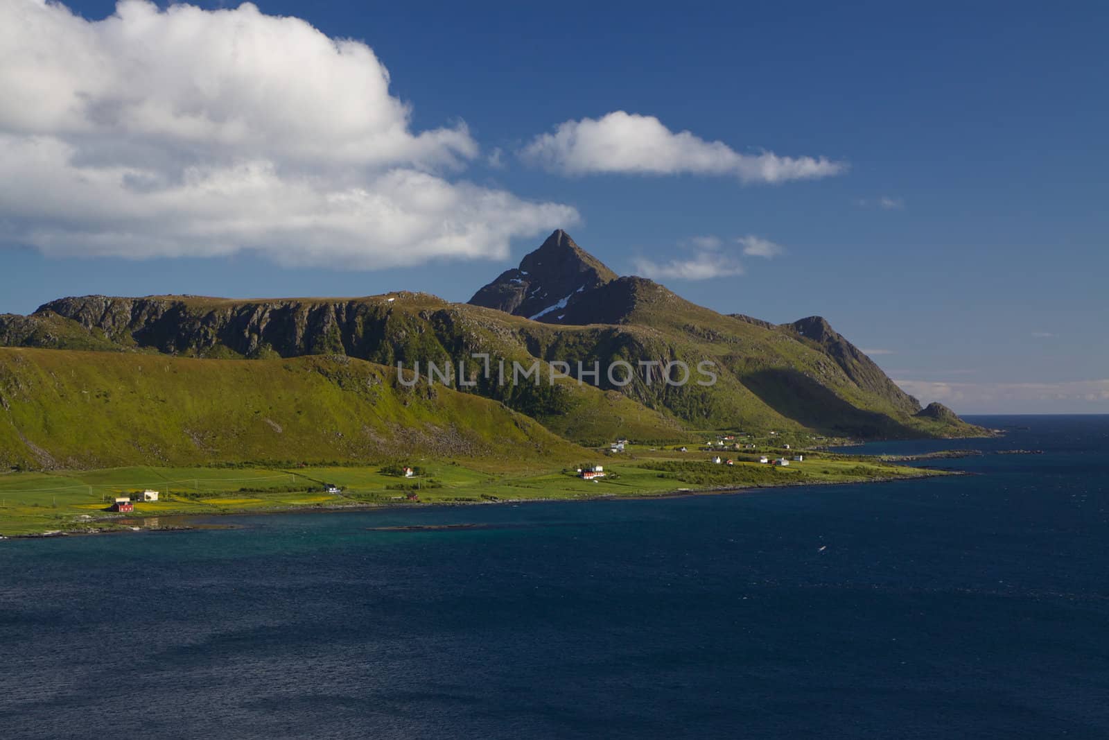 Picturesque green summer on Lofoten islands in Norway