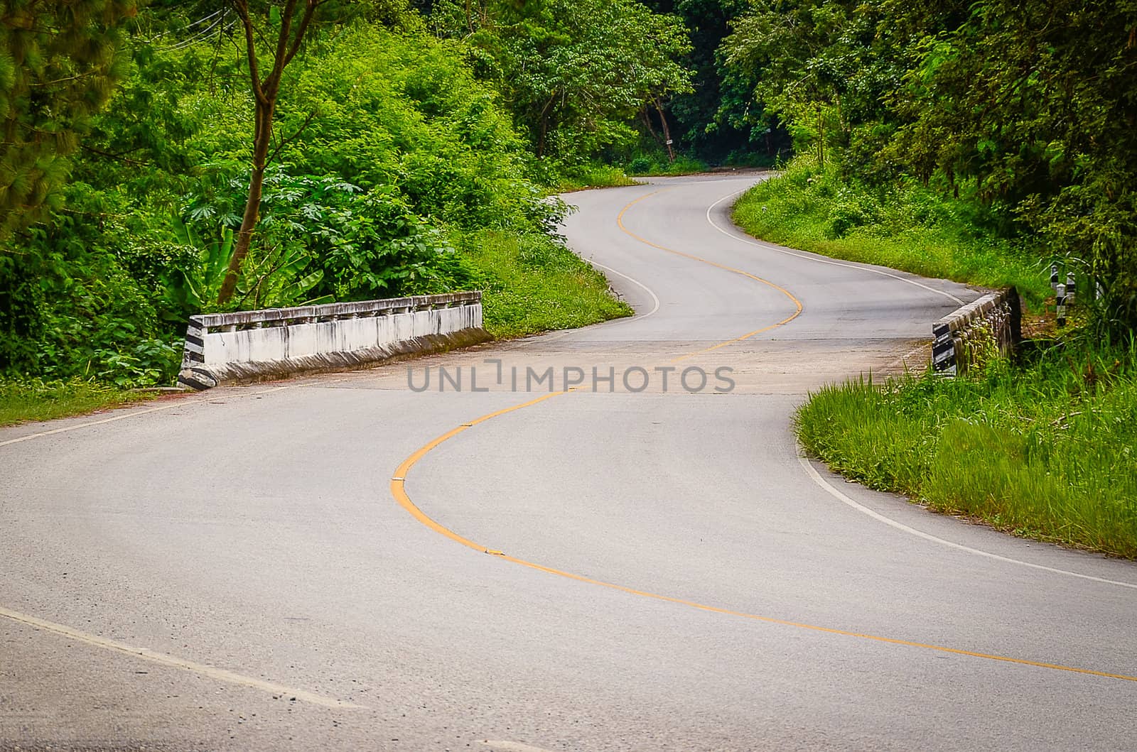 Winding road with foliage tree in rural area by moggara12