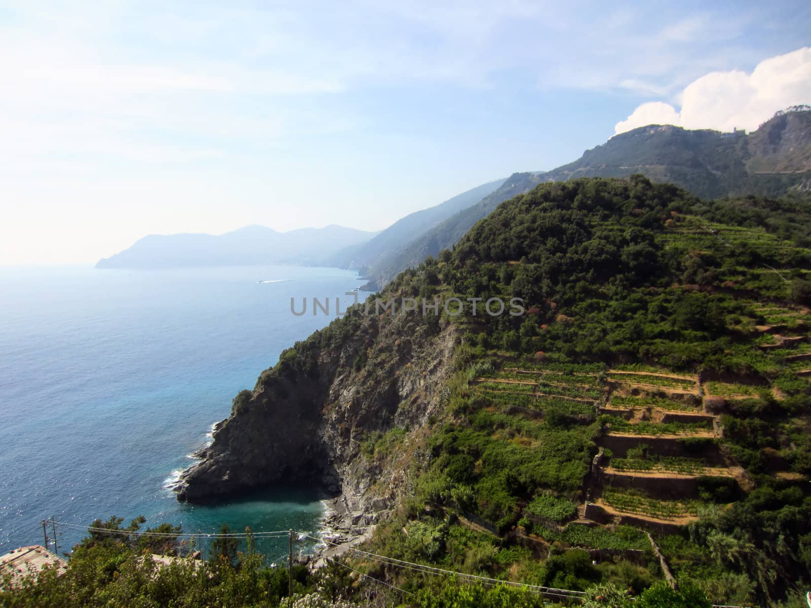 Village on Italian Coast in Liguria