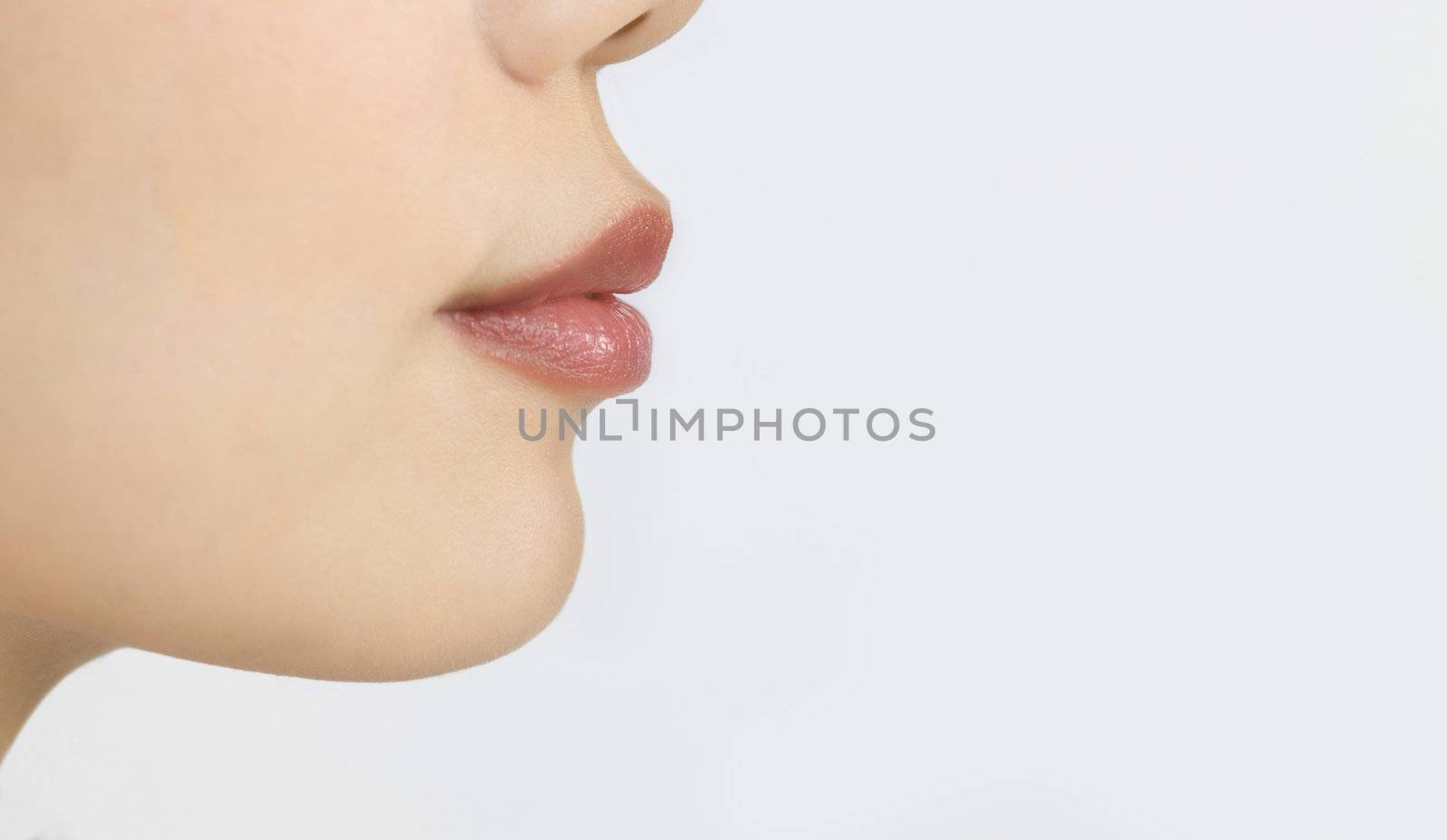 Beautiful female lips