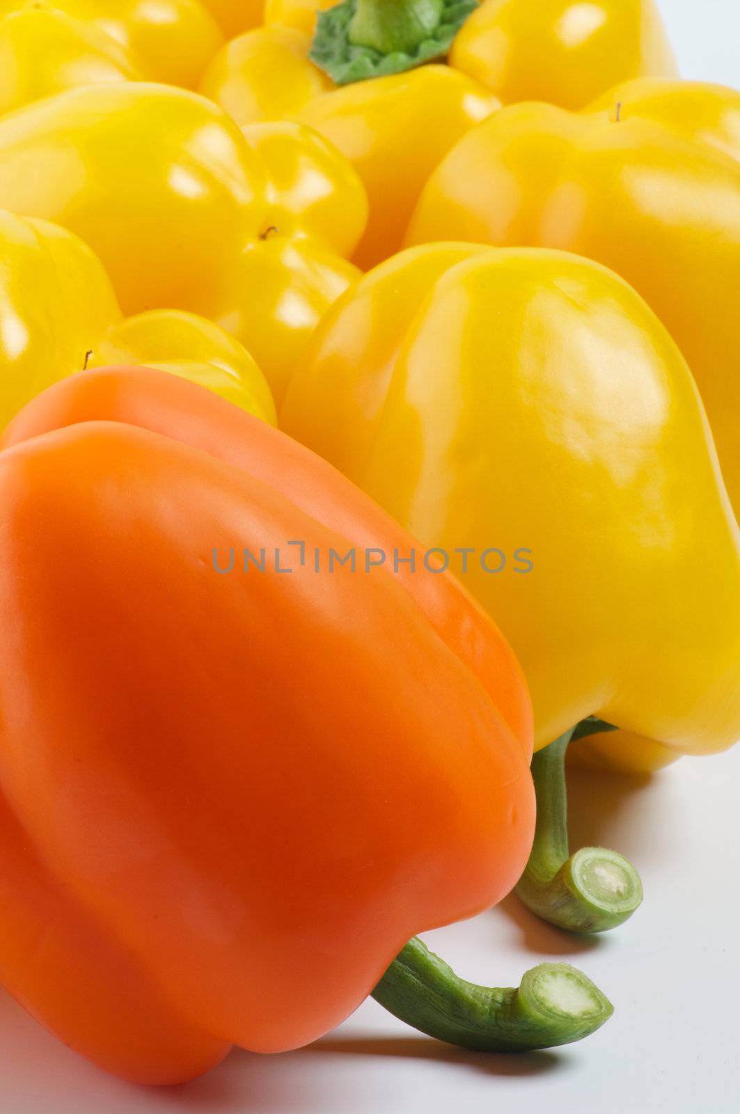 Yellow and Orange Bell Peppers with Fresh Tails close up on Yellow Bell Peppers background