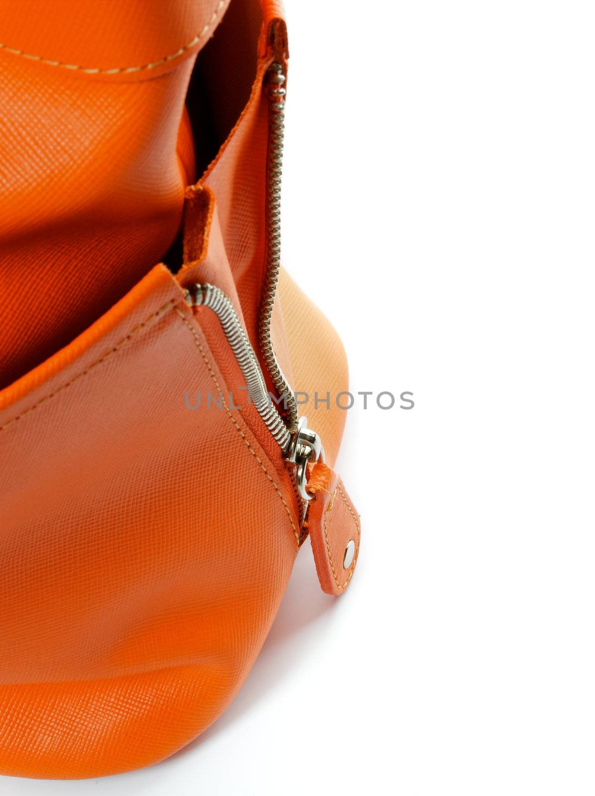Zip of Women's Ginger Handbag  by zhekos