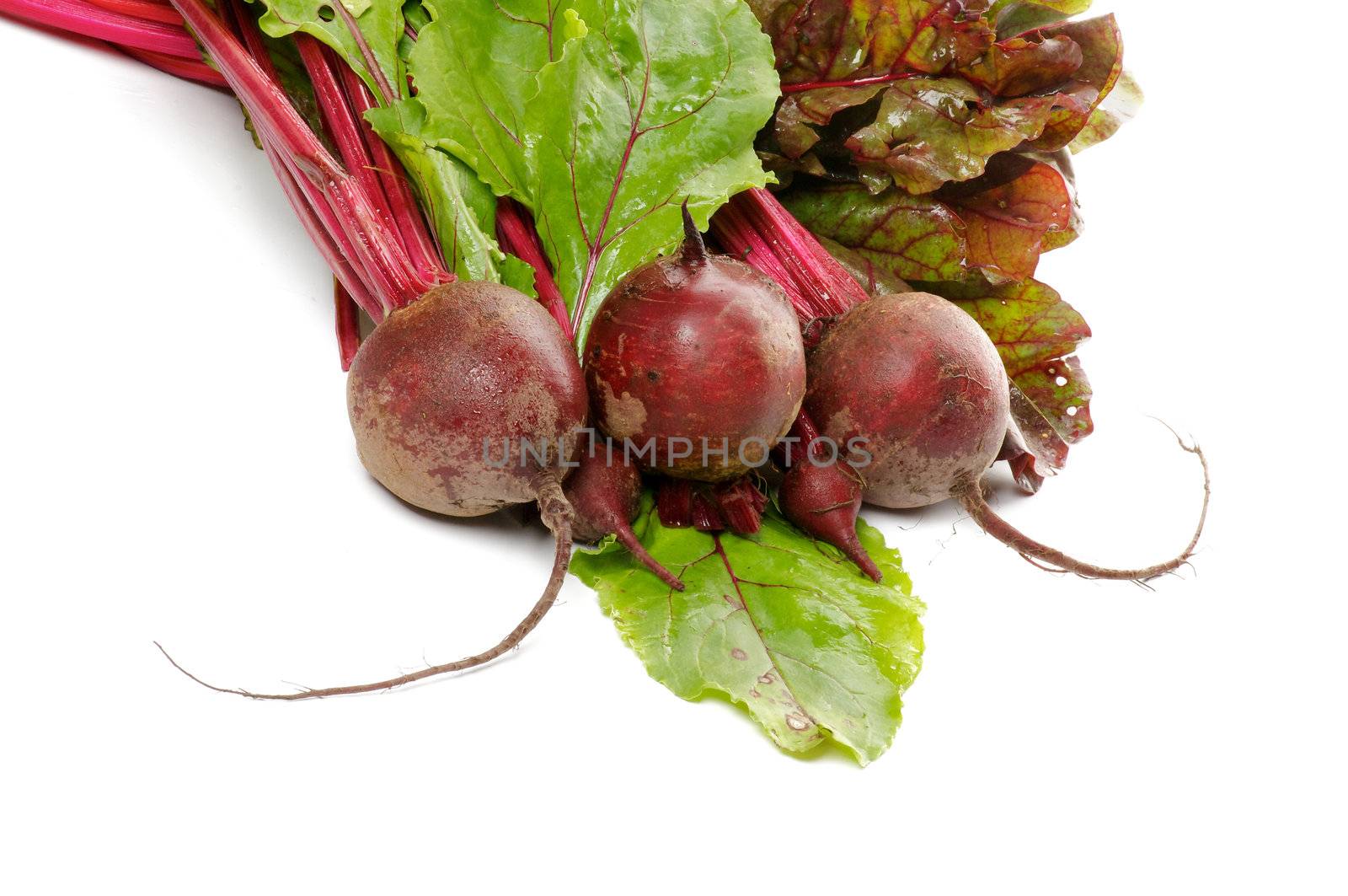 Bunch of Perfect Raw Young Beets and Beet Tops by zhekos