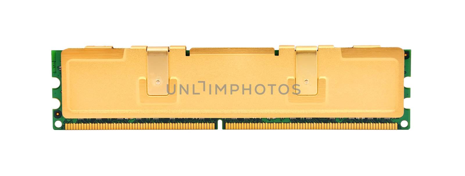gold ram on a white background