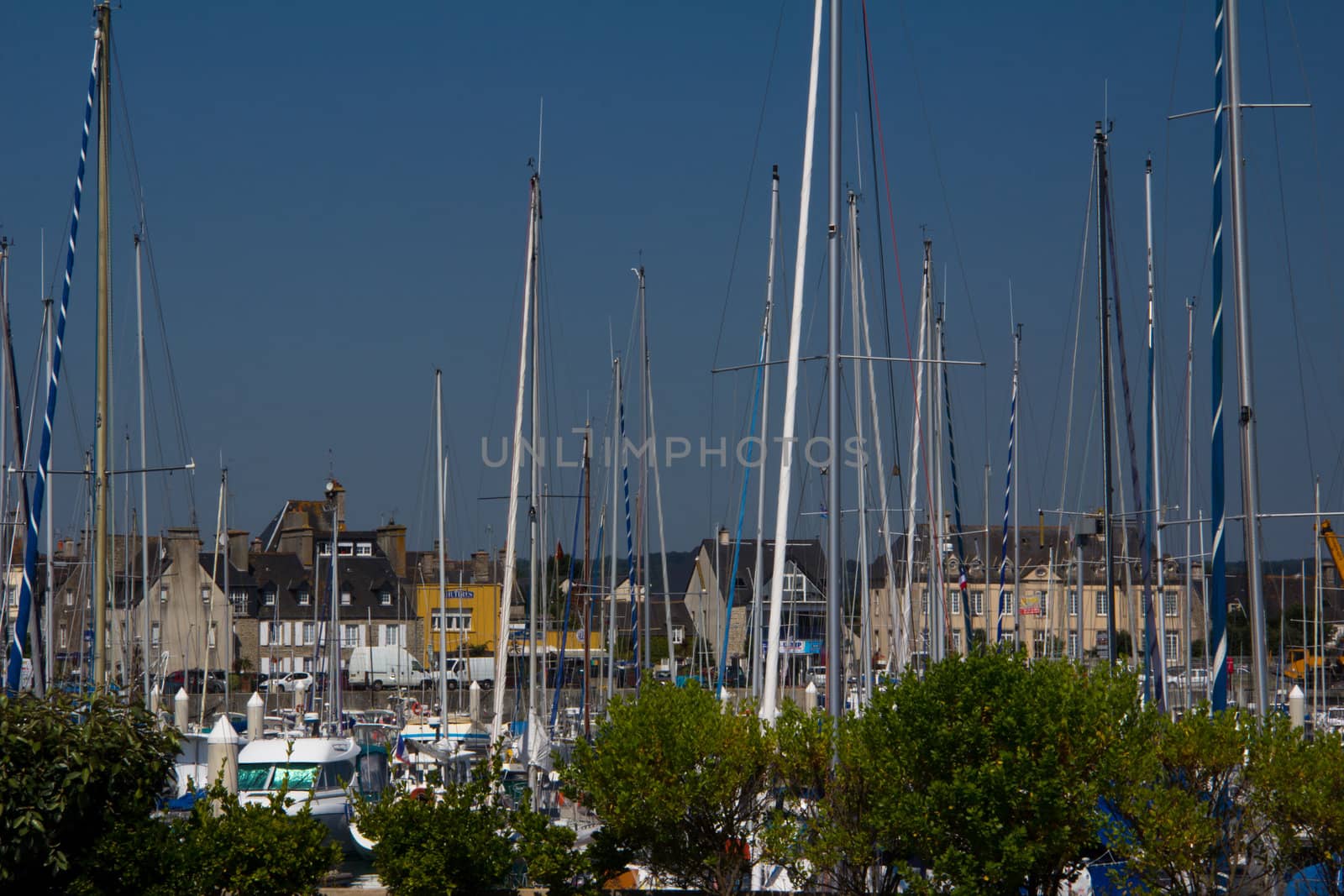 Yacht masts in a marina