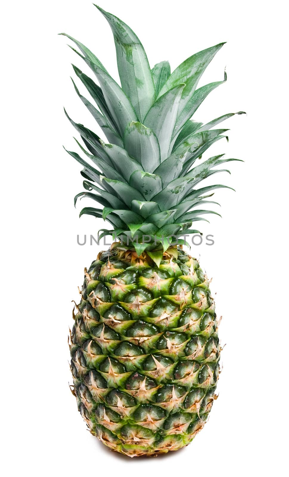 Big pineapple isolated on white