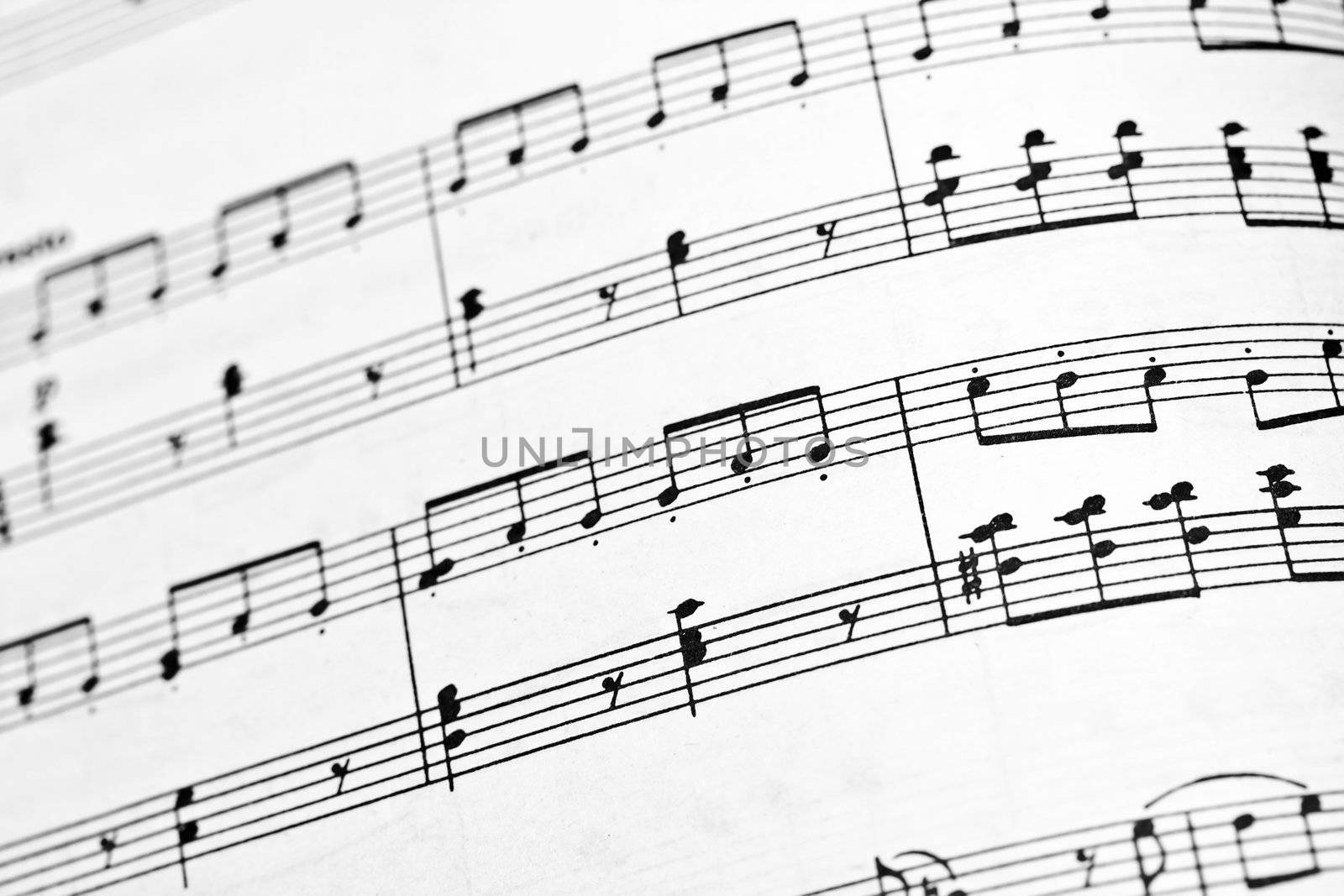 Musical notes book close up