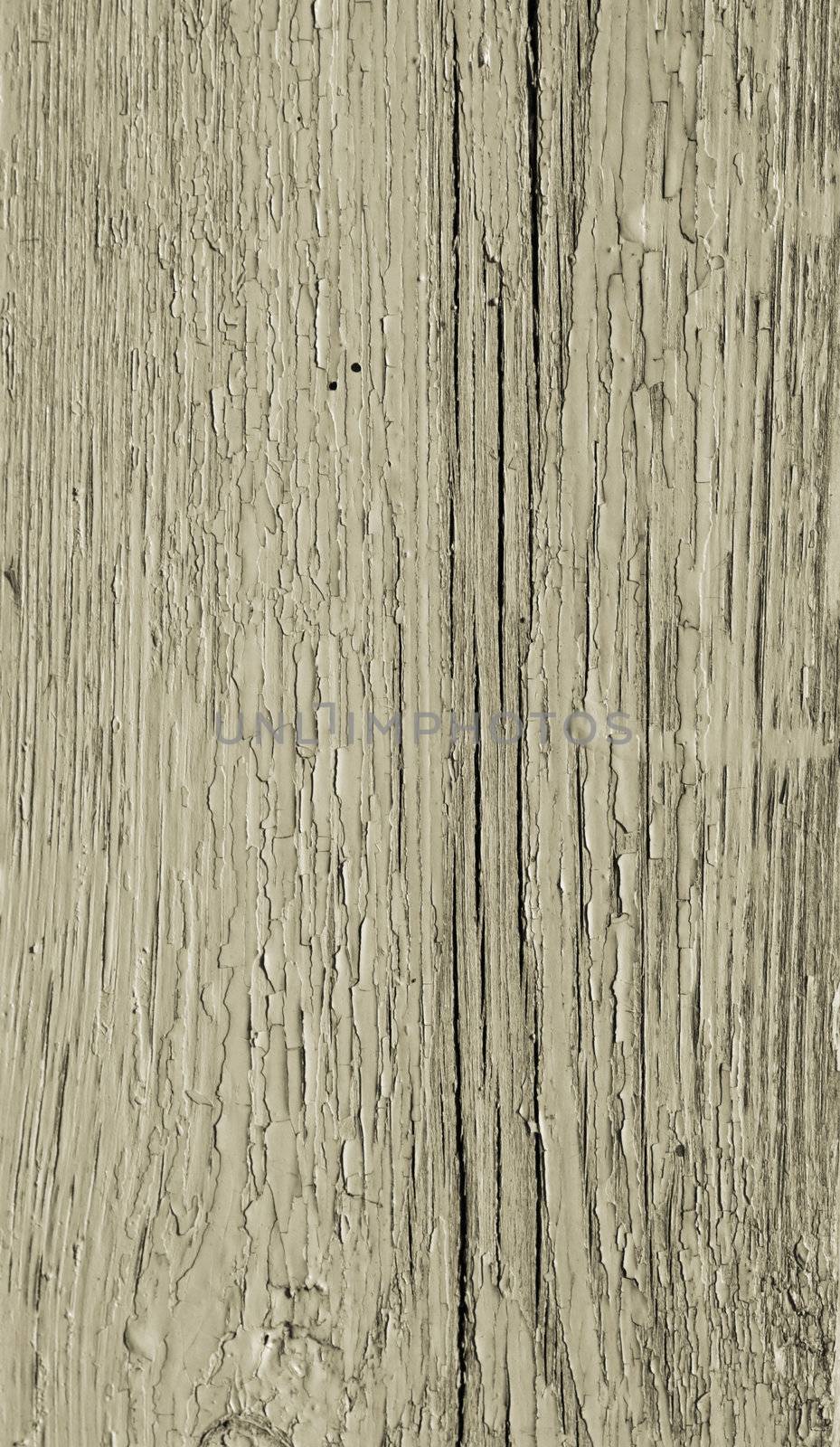 wood texture  by schankz