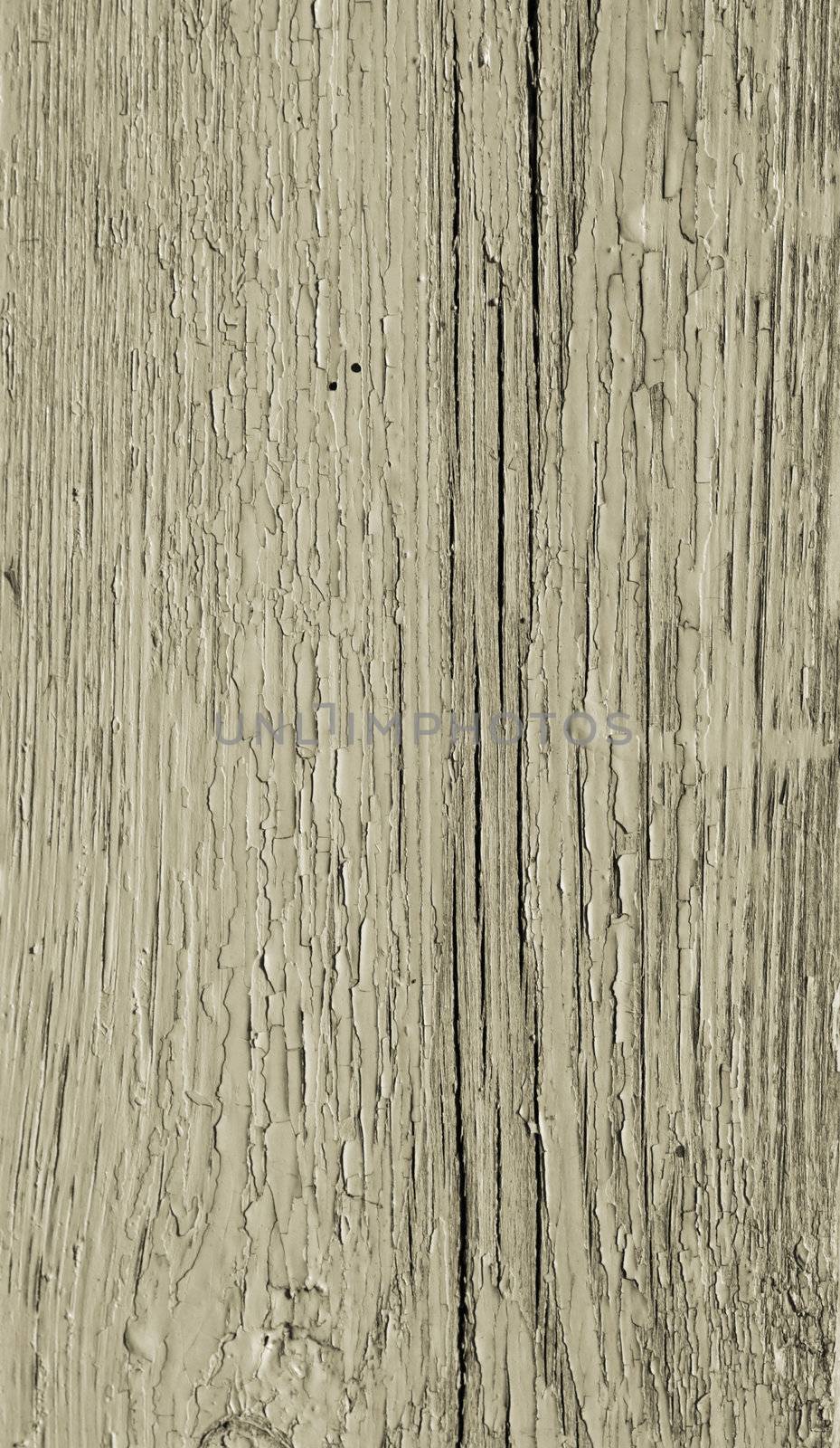 wood texture 