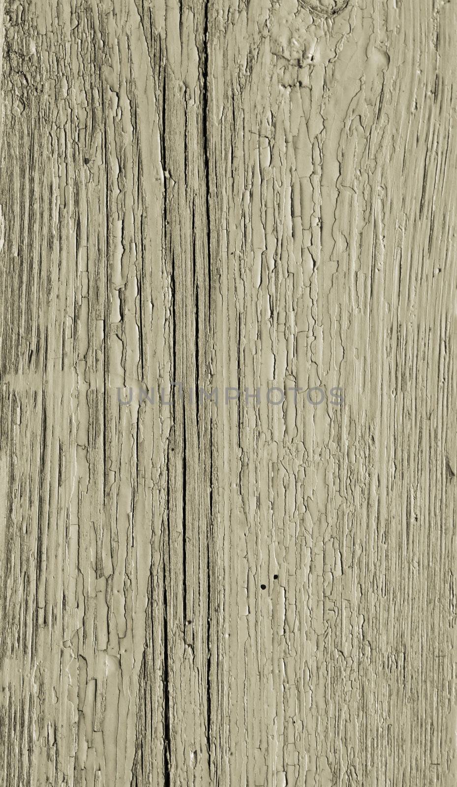 wood texture 