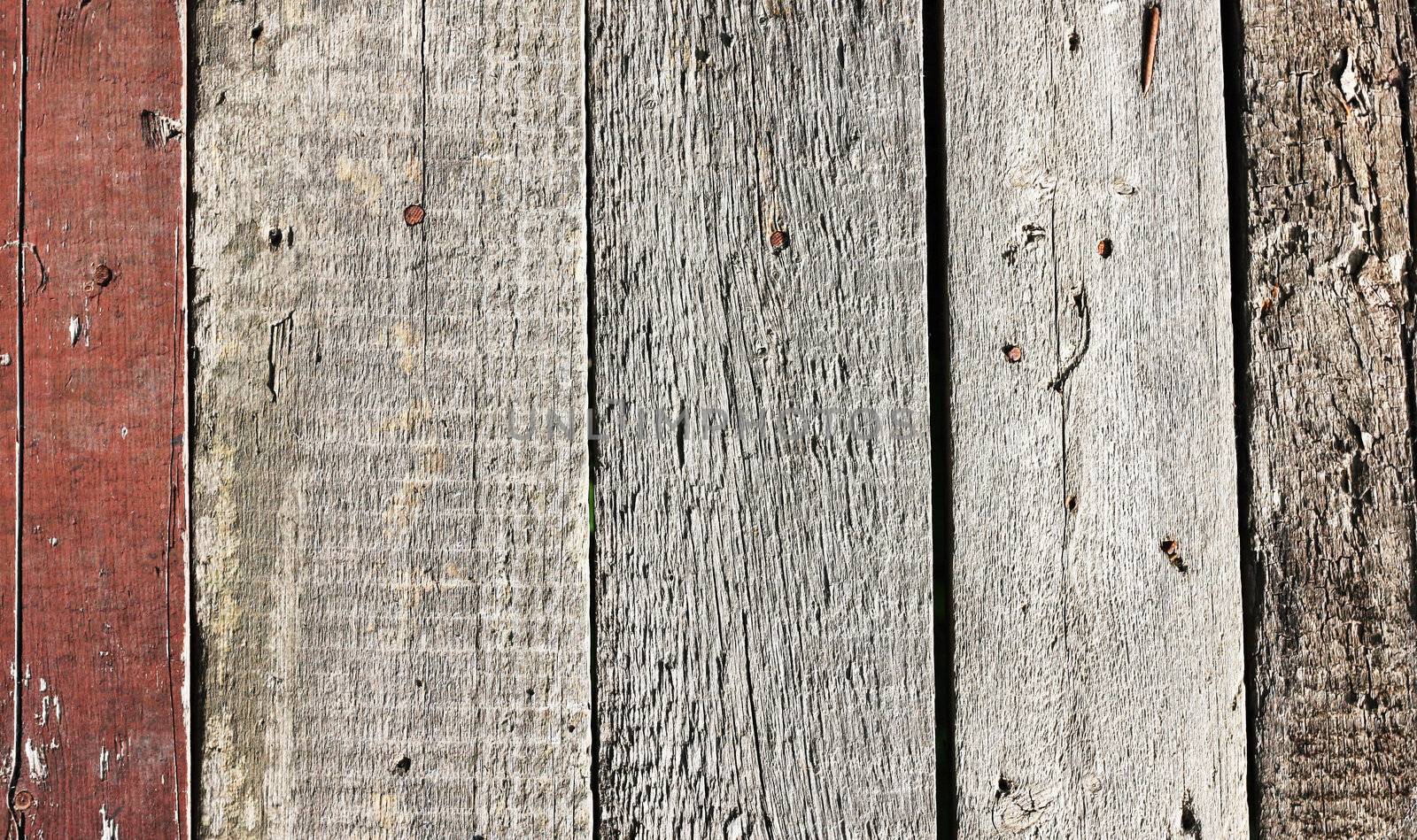 Close up of gray wooden fence panels  by schankz