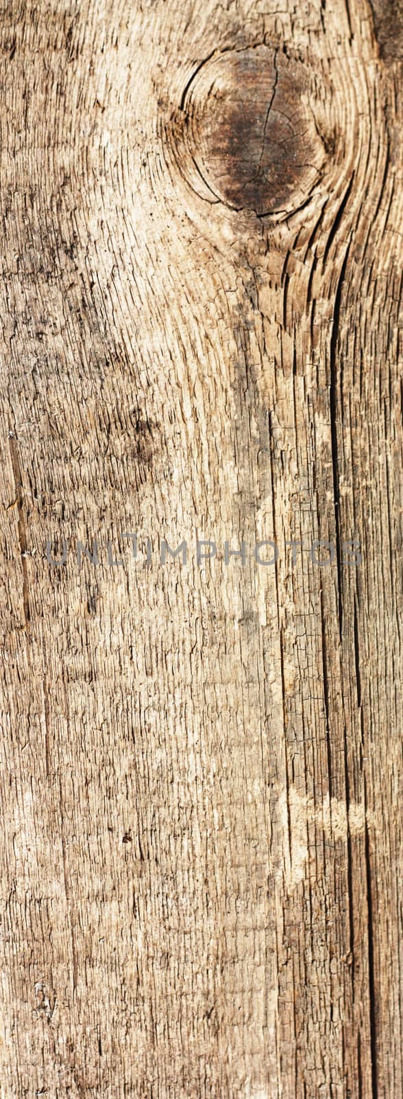 Wooden texture - can be used as a background 