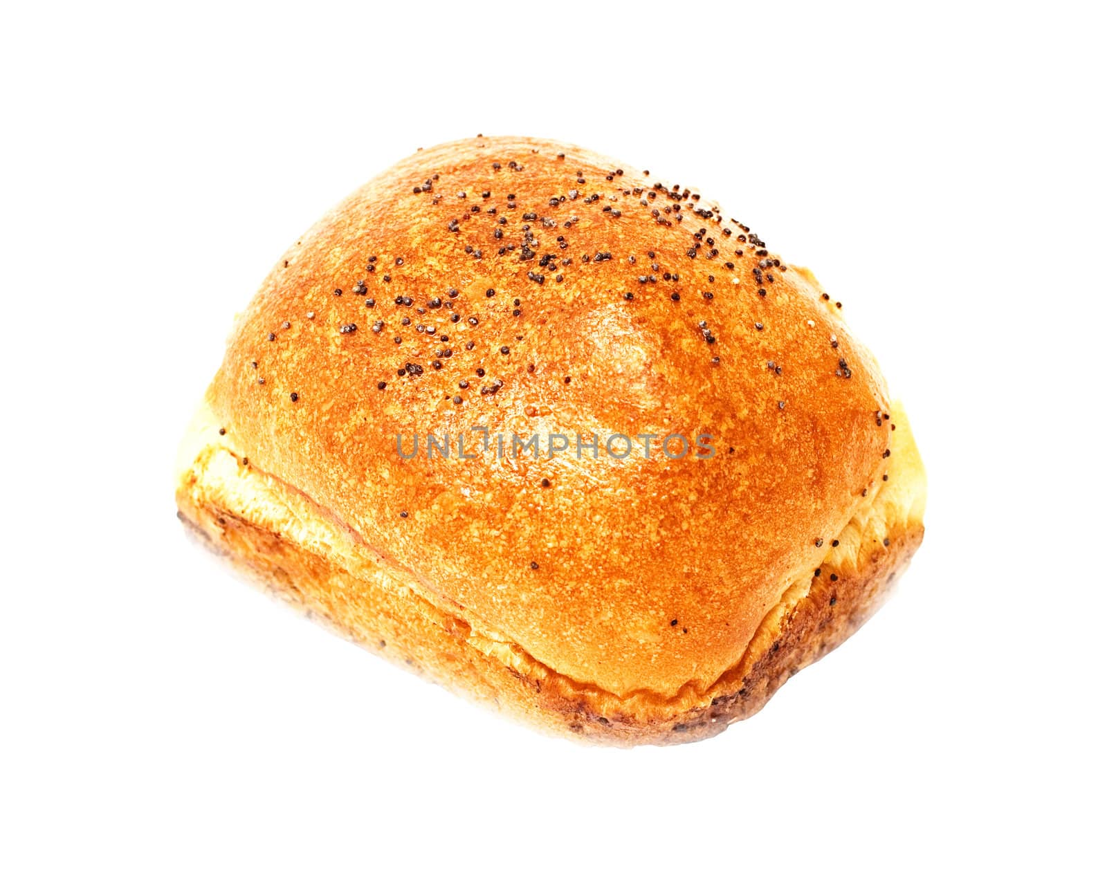 bun on white background