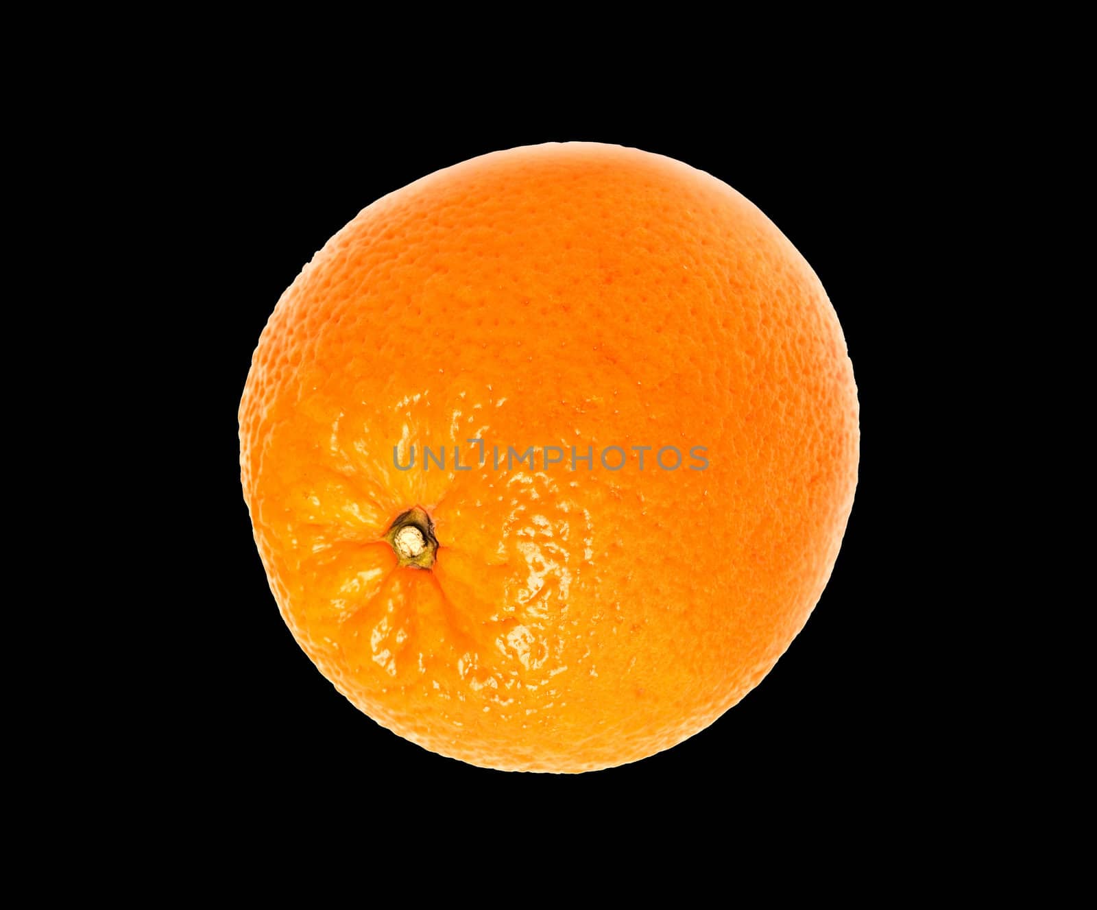 Mature orange on black background
