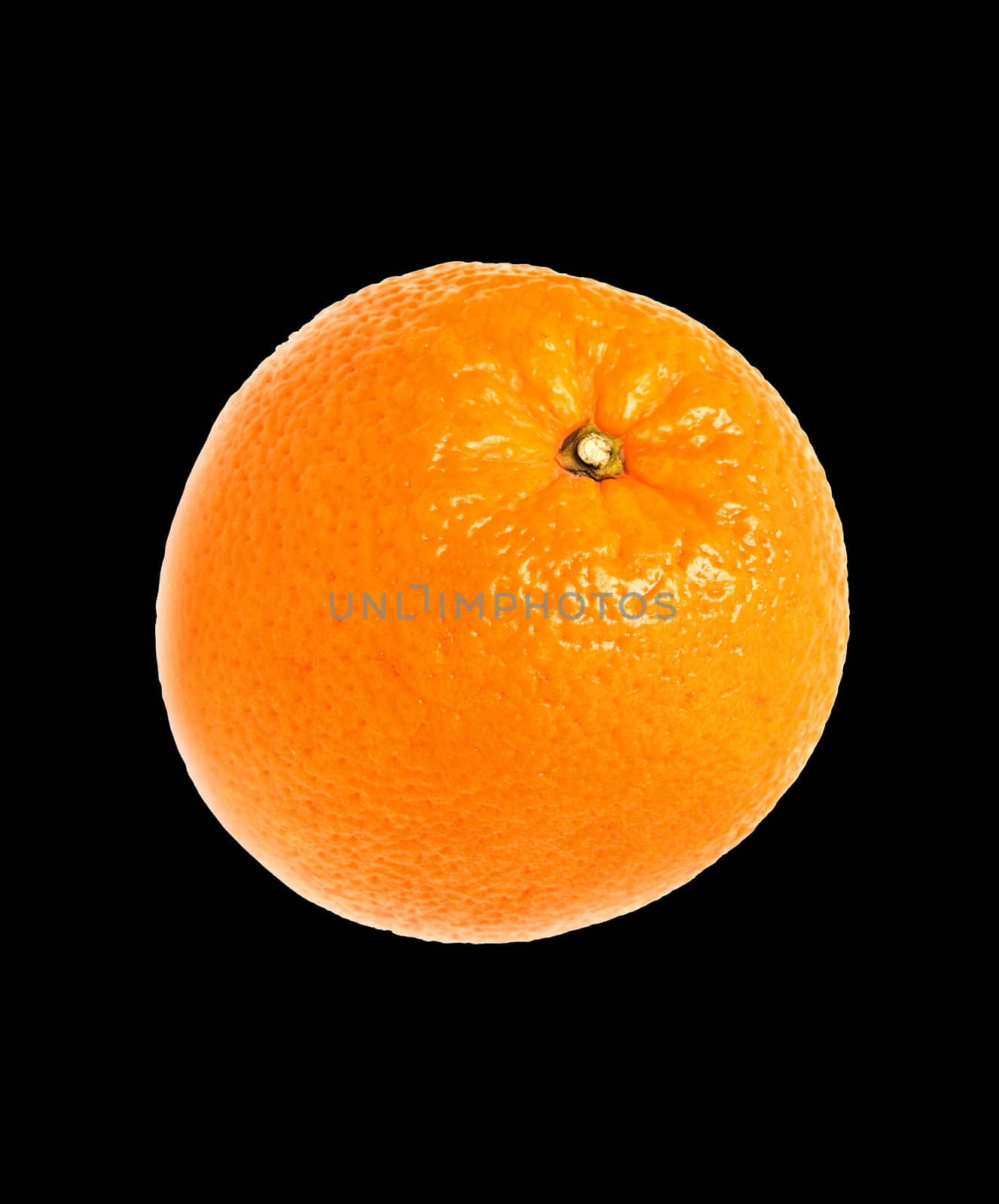Mature orange on black background