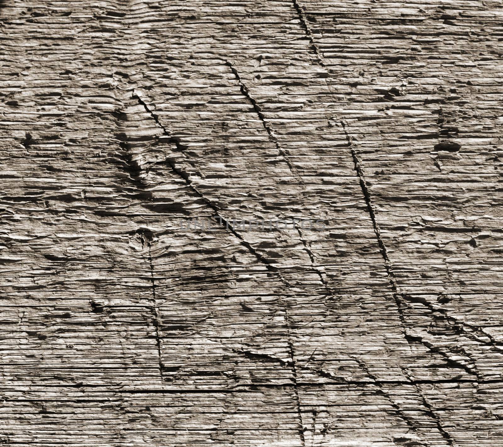 Wooden texture by schankz