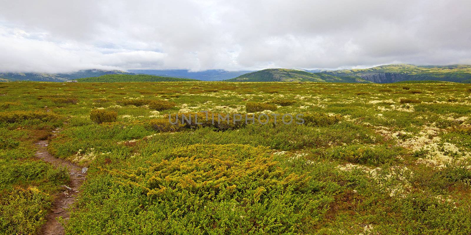 Rondane national park in Norway on a cloudy day