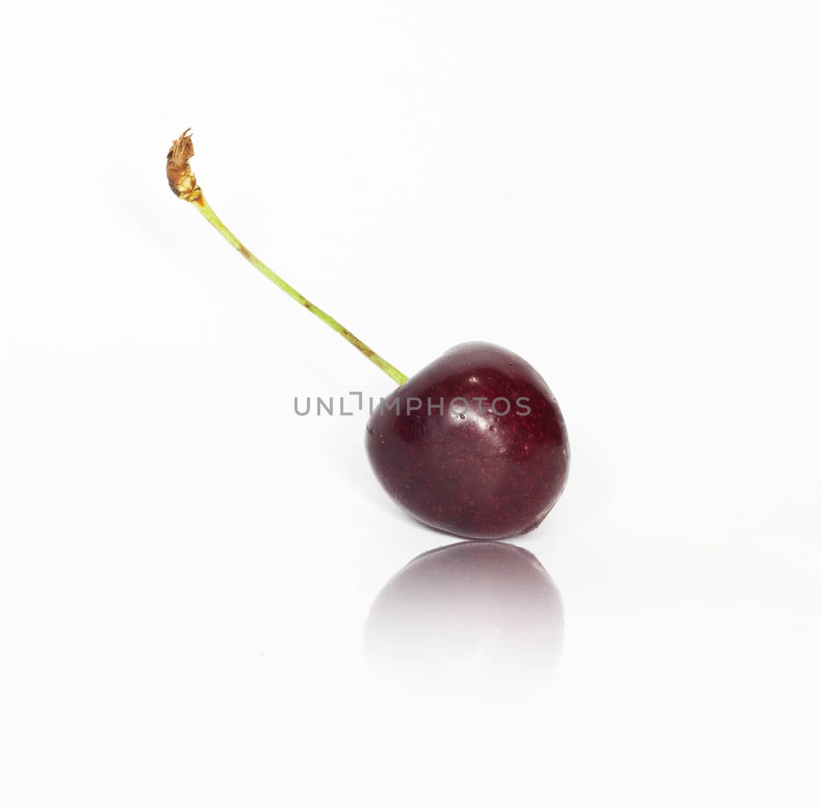 sweet cherry 