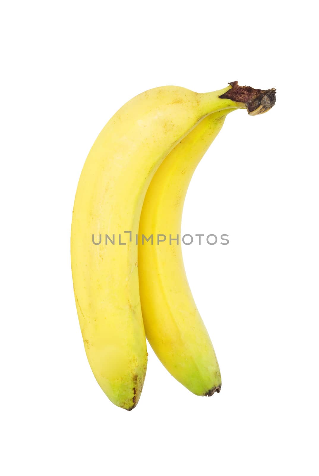 banana bundle  by schankz