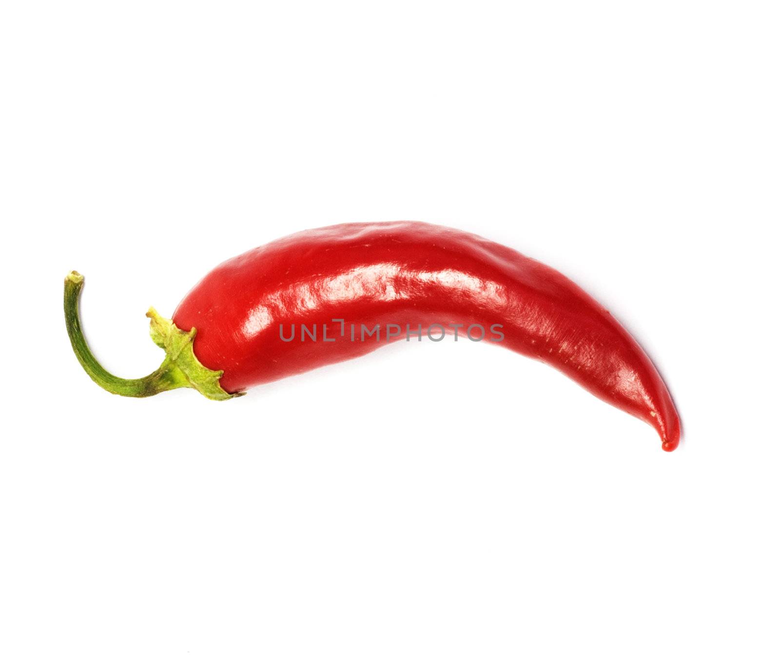 red chilly 