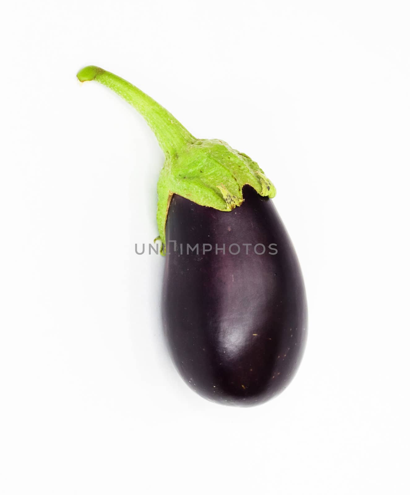 Eggplant on white background 