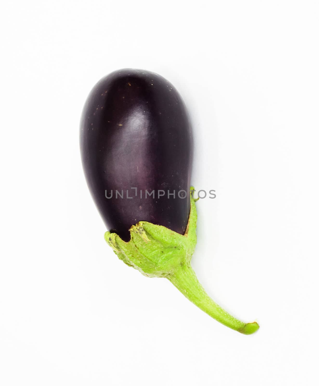 Eggplant on white background 