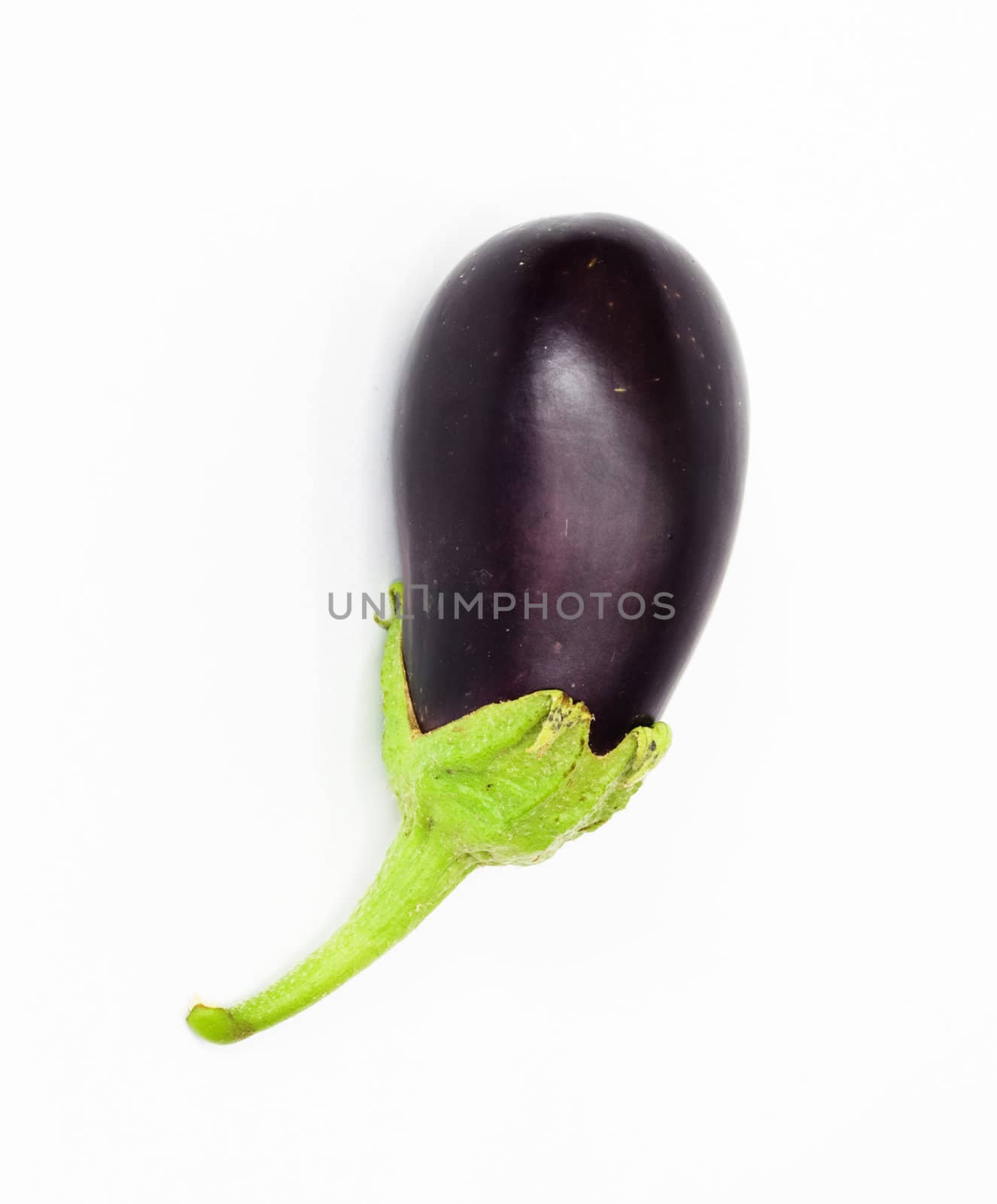 Eggplant on white background 