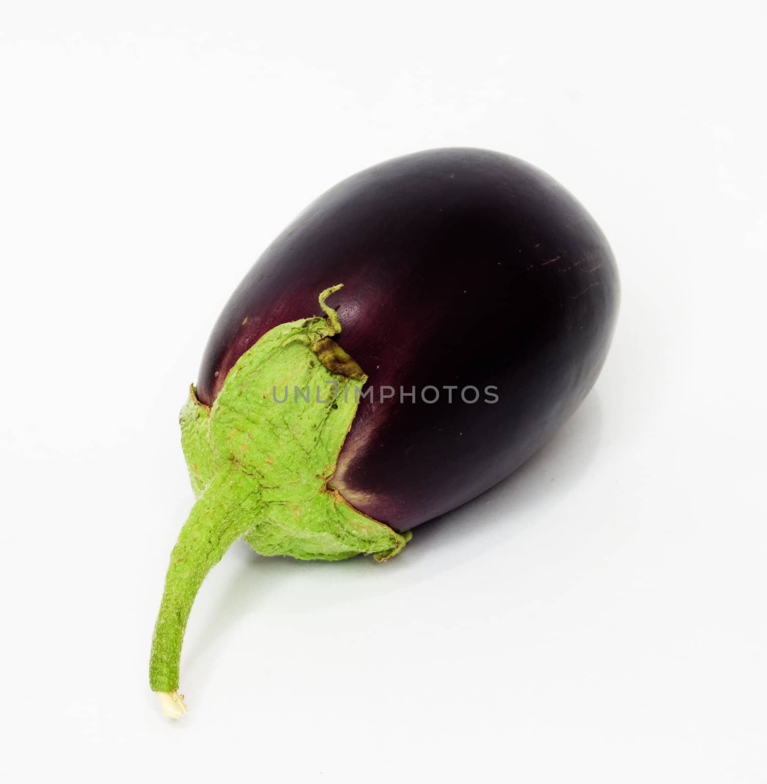Eggplant on white background 