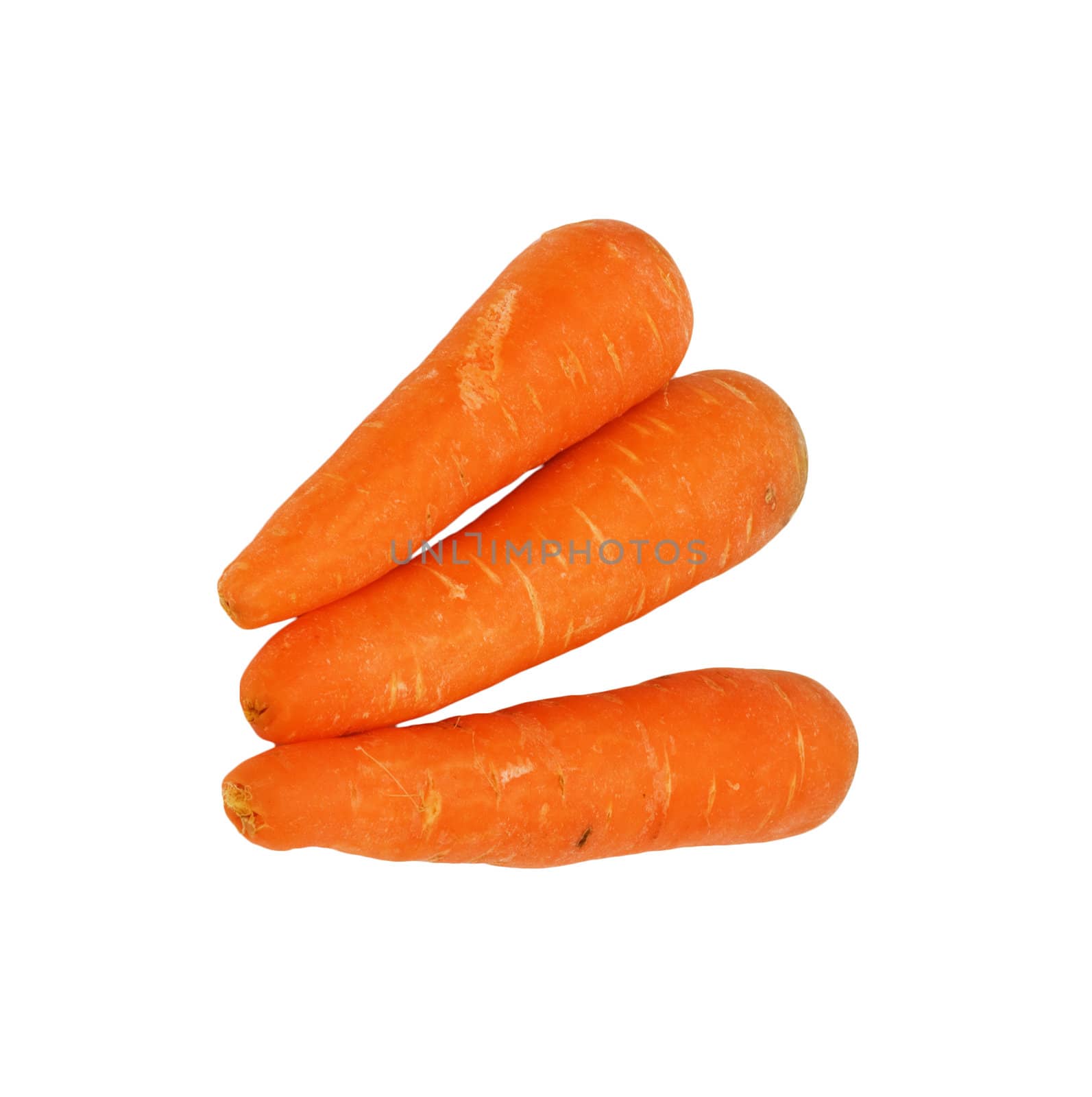 Carrot fresh vegetable group on white background 