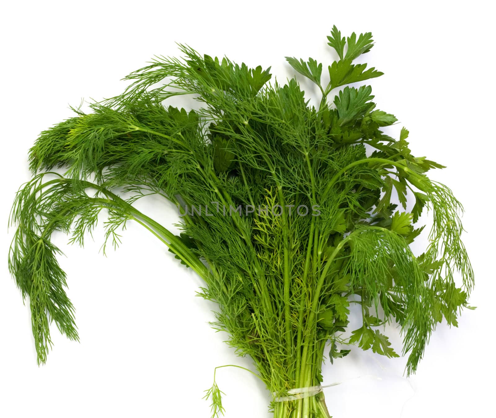 dill and parsley at platw isolated on a white background 