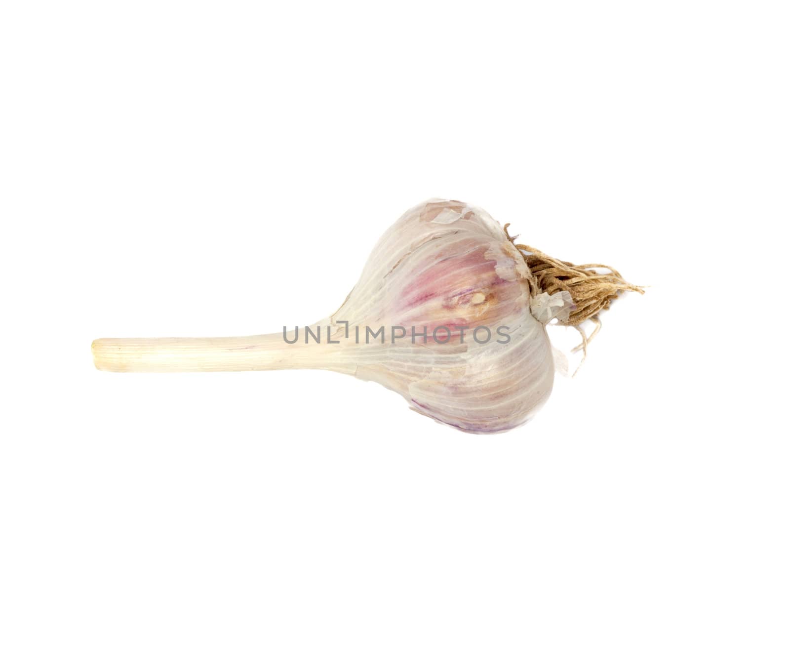 garlic isolated on white background 