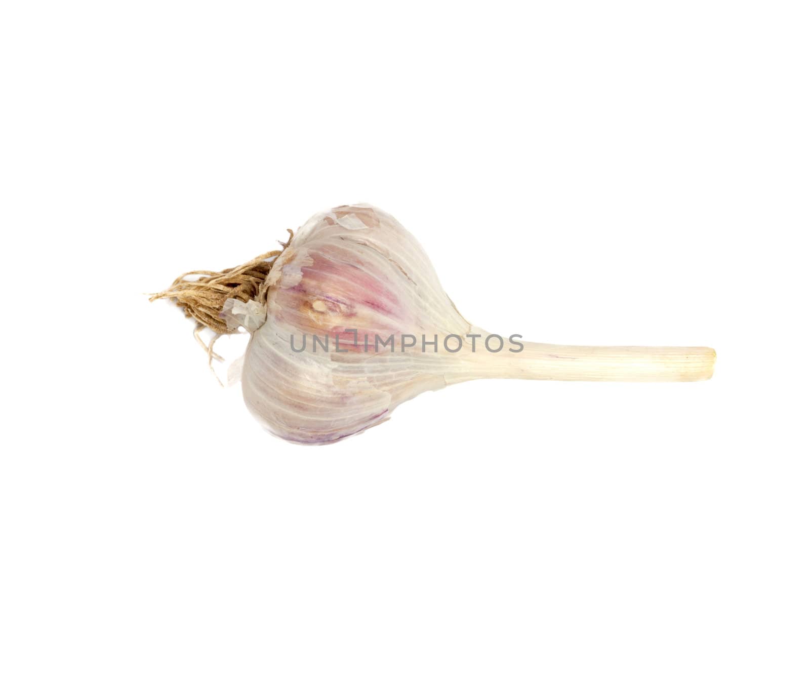 garlic isolated on white background 