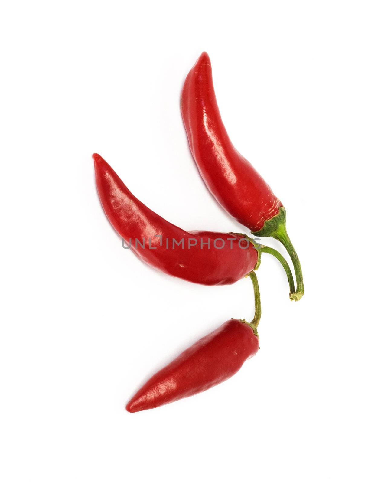 three hot chili peppers 