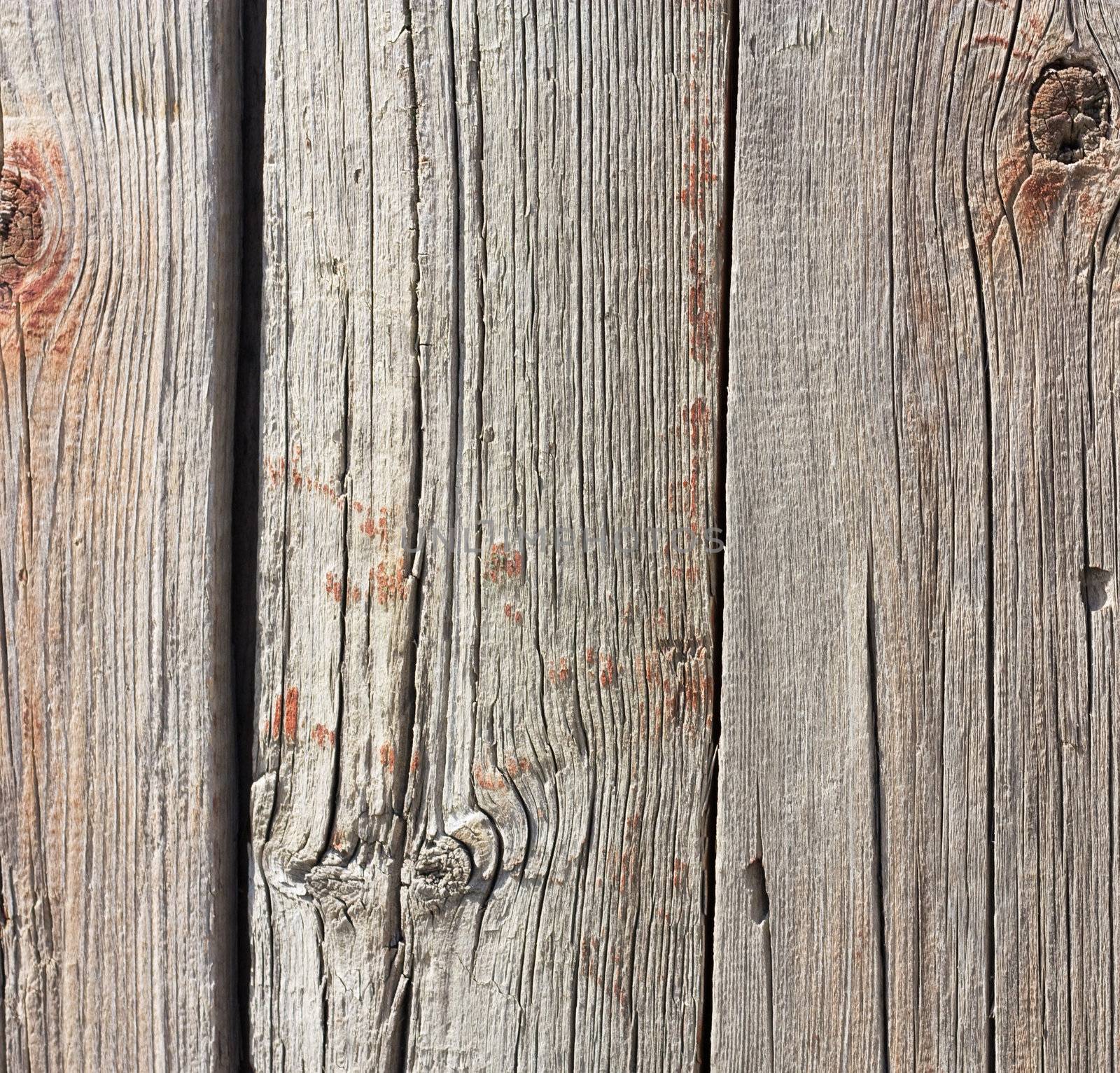 Close up of gray wooden fence panels  by schankz