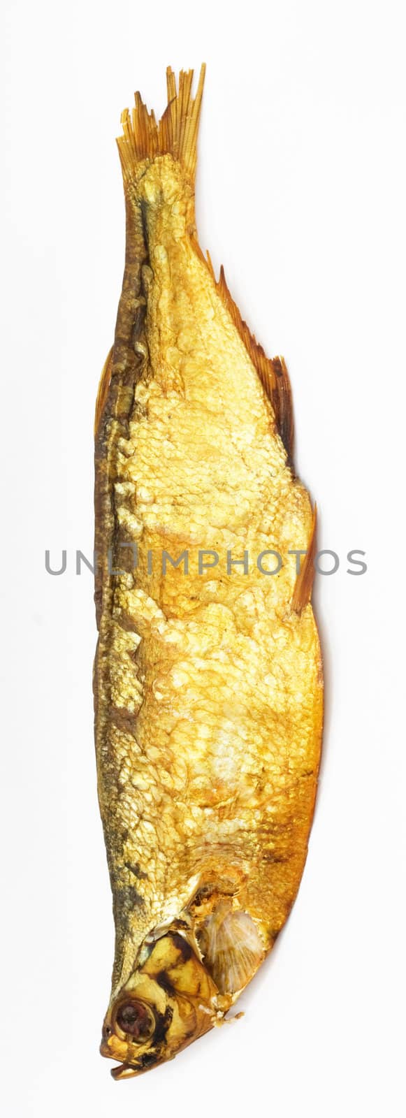 smoked fish isolated on white 