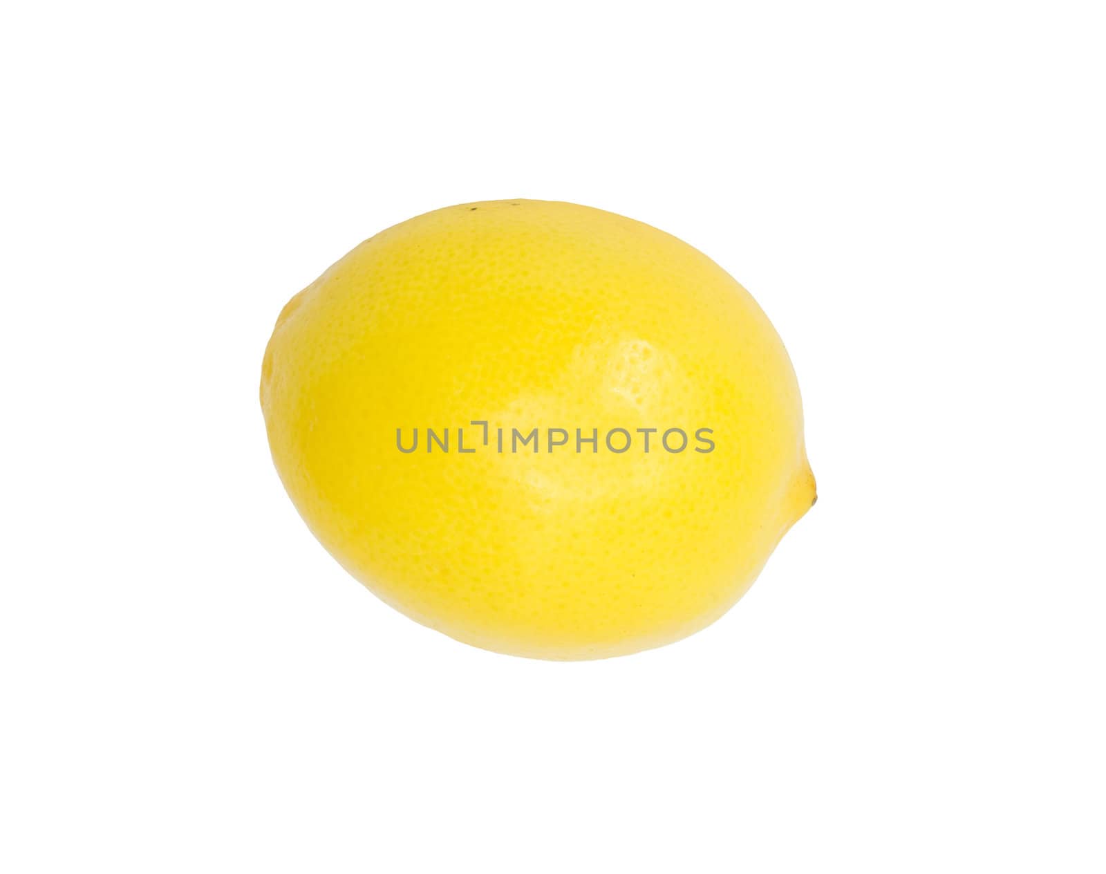 Lemon on a white background  by schankz