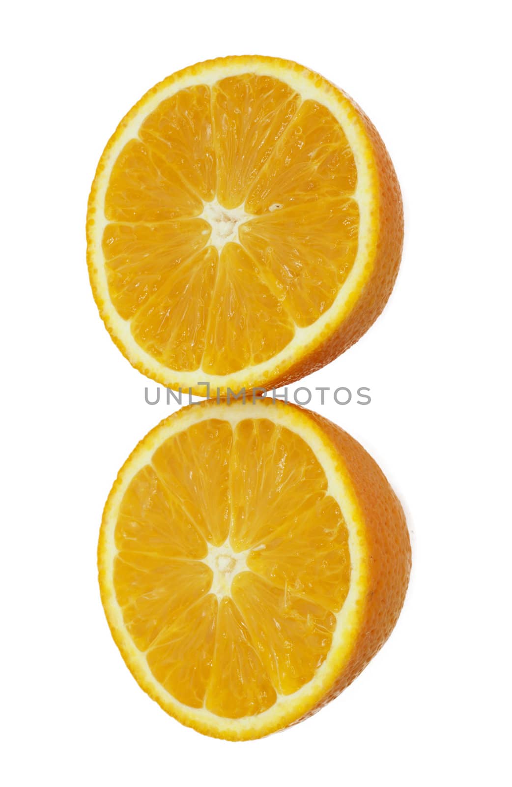 oranges on white background 