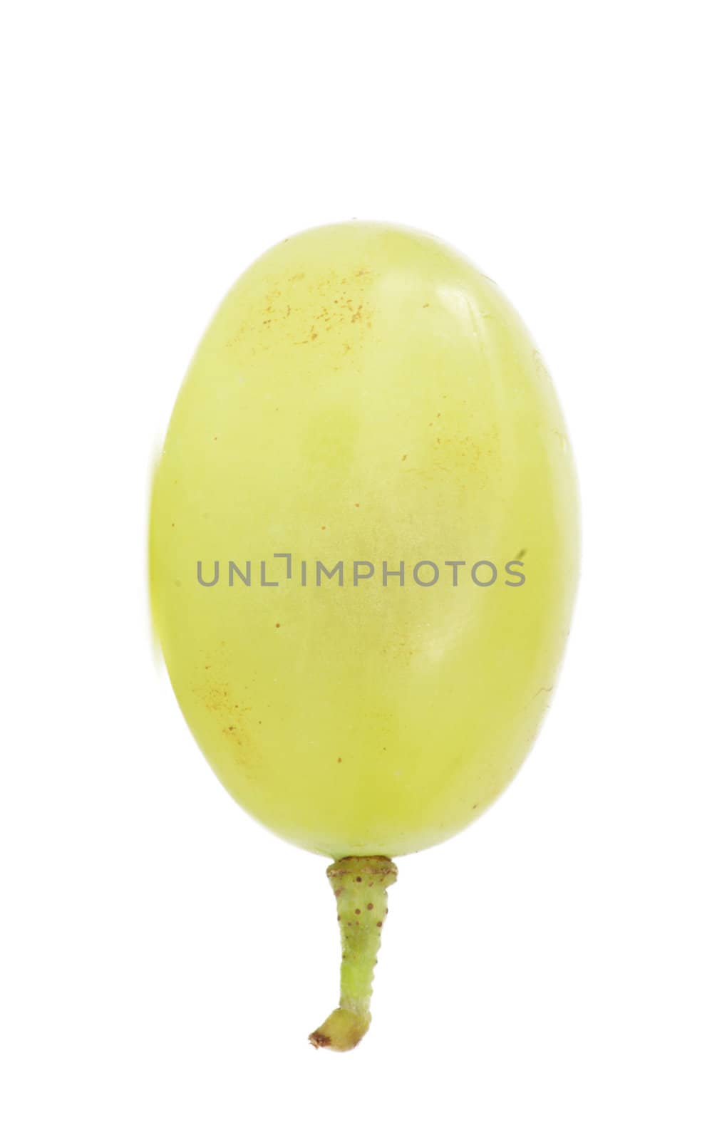 Translucent slice of green grape fruit, macro isolated on white 