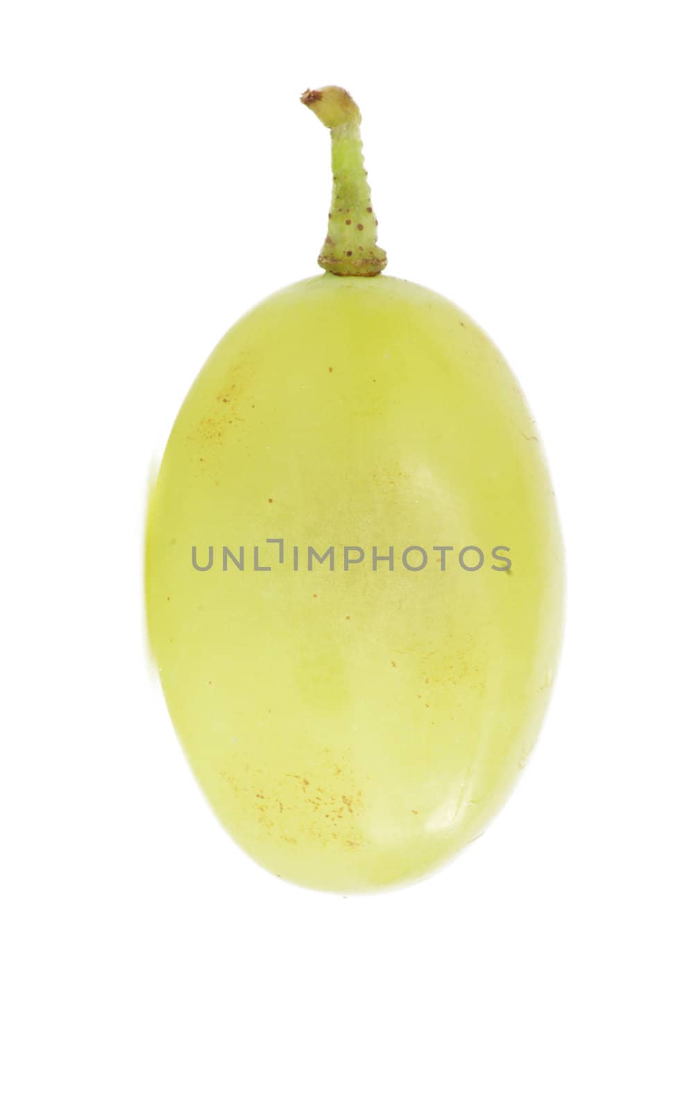 Translucent slice of green grape fruit, macro isolated on white 