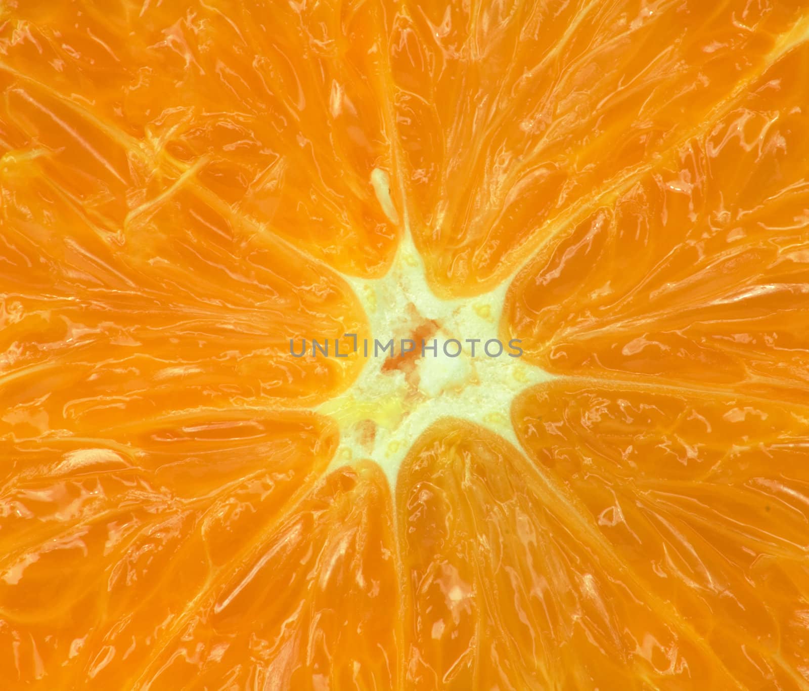 macro of an orange for backgrounds 