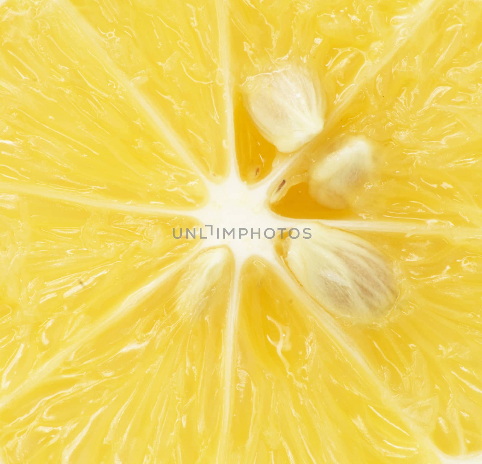 lemon . macro