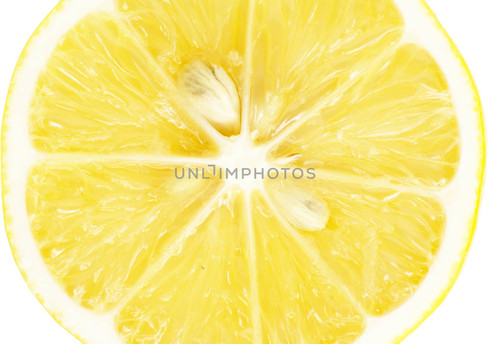 Single cross section of lemon. Isolated on white background. Close-up. Studio photography. 