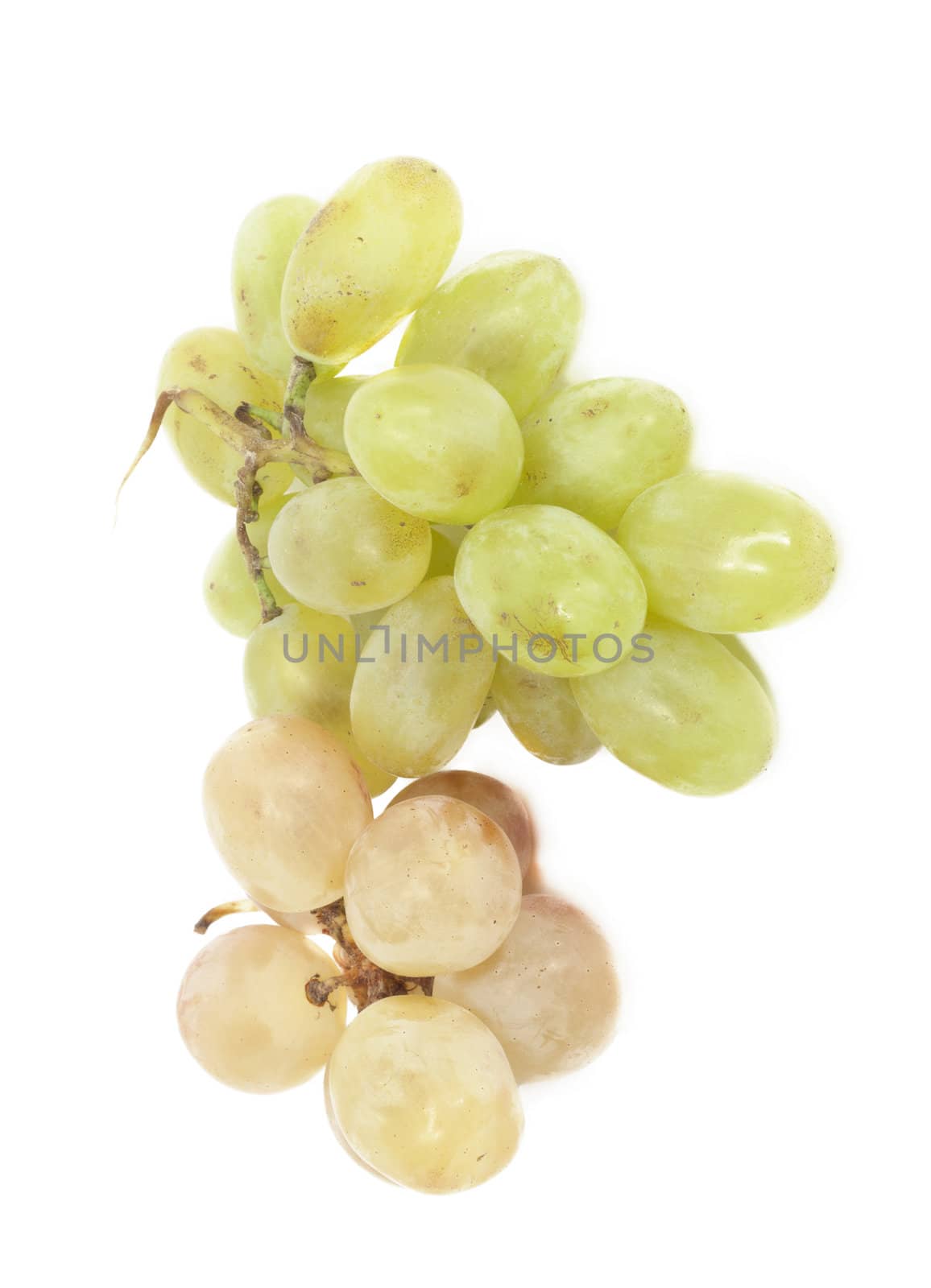Fresh  grapes. Isolated on white 