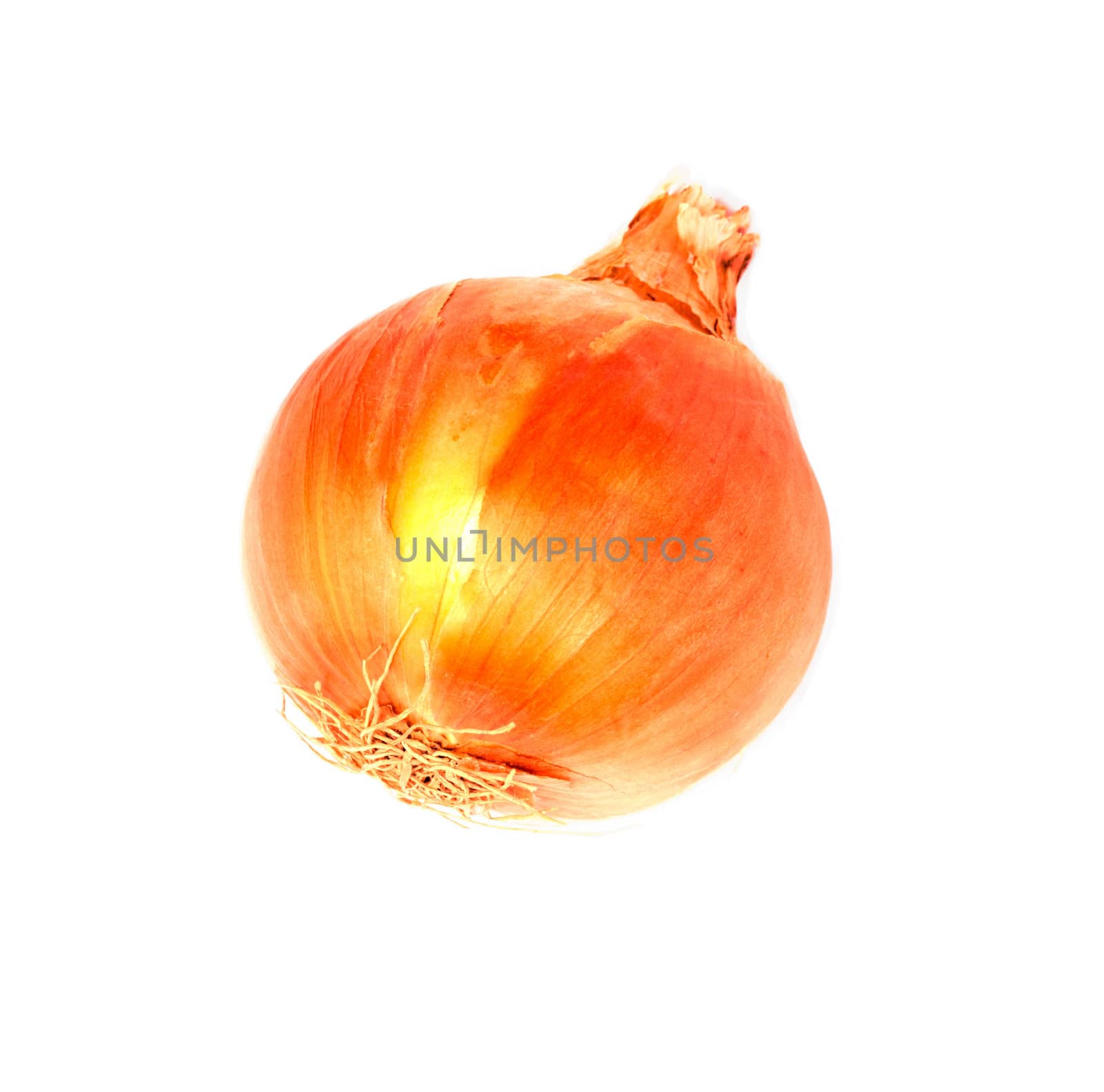 Ripe onion on a white background 