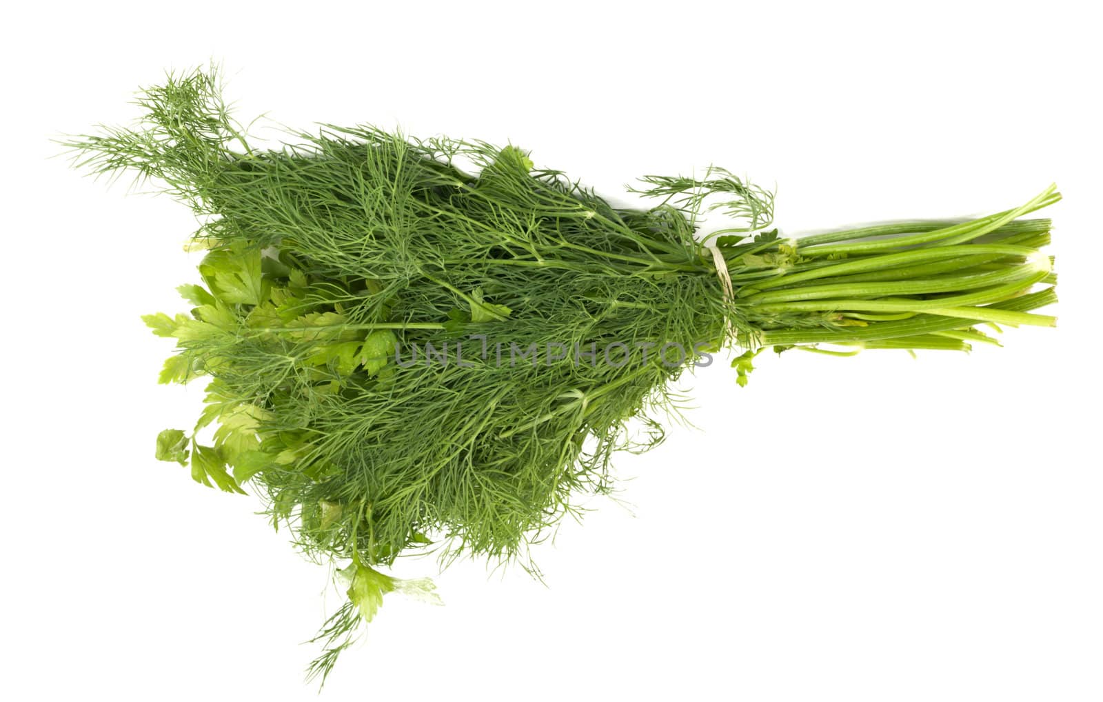 dill and parsley isolated on a white background 